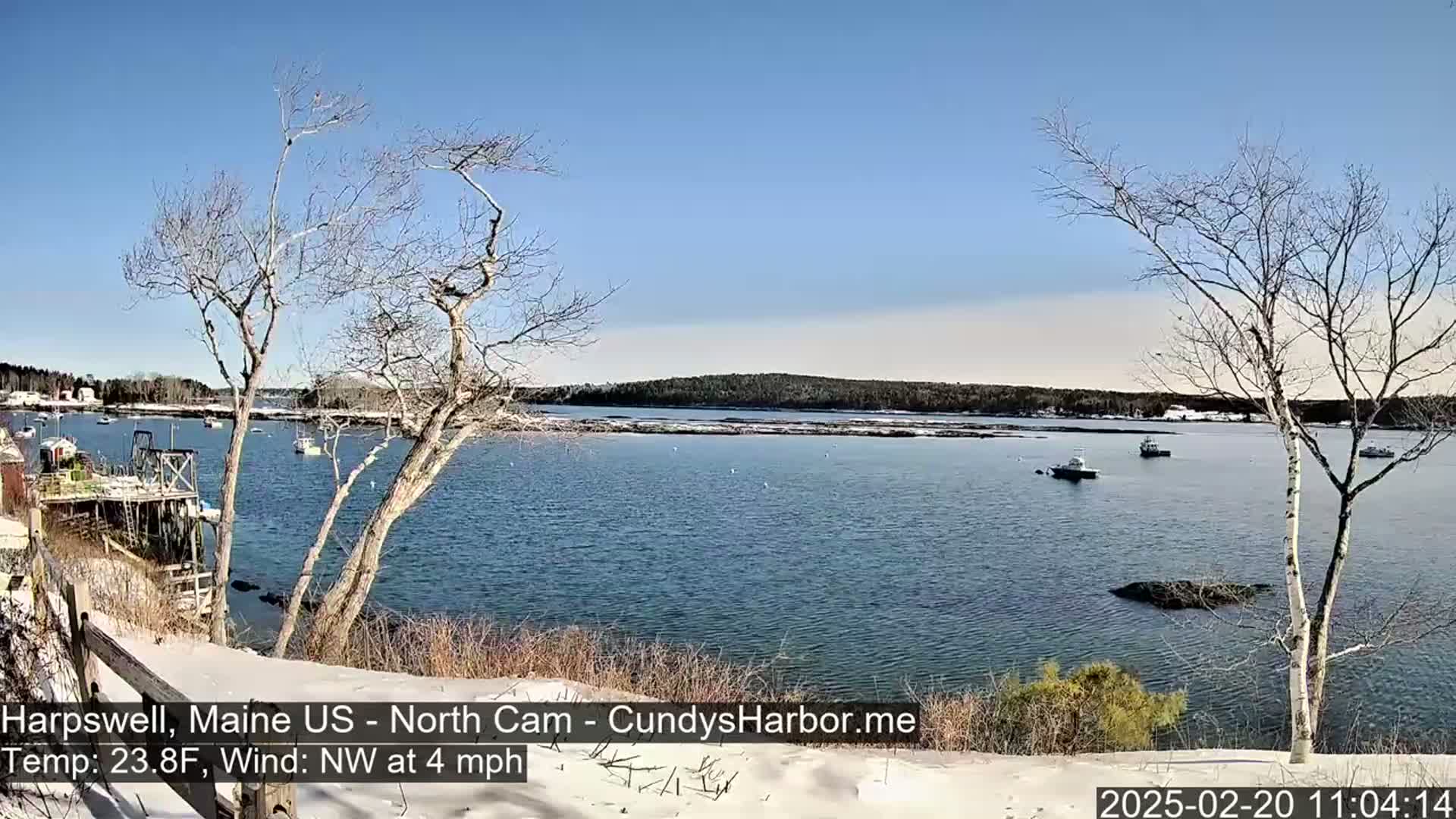 A snow-dusted shoreline overlooks a calm bay with several small boats, under a clear blue sky.