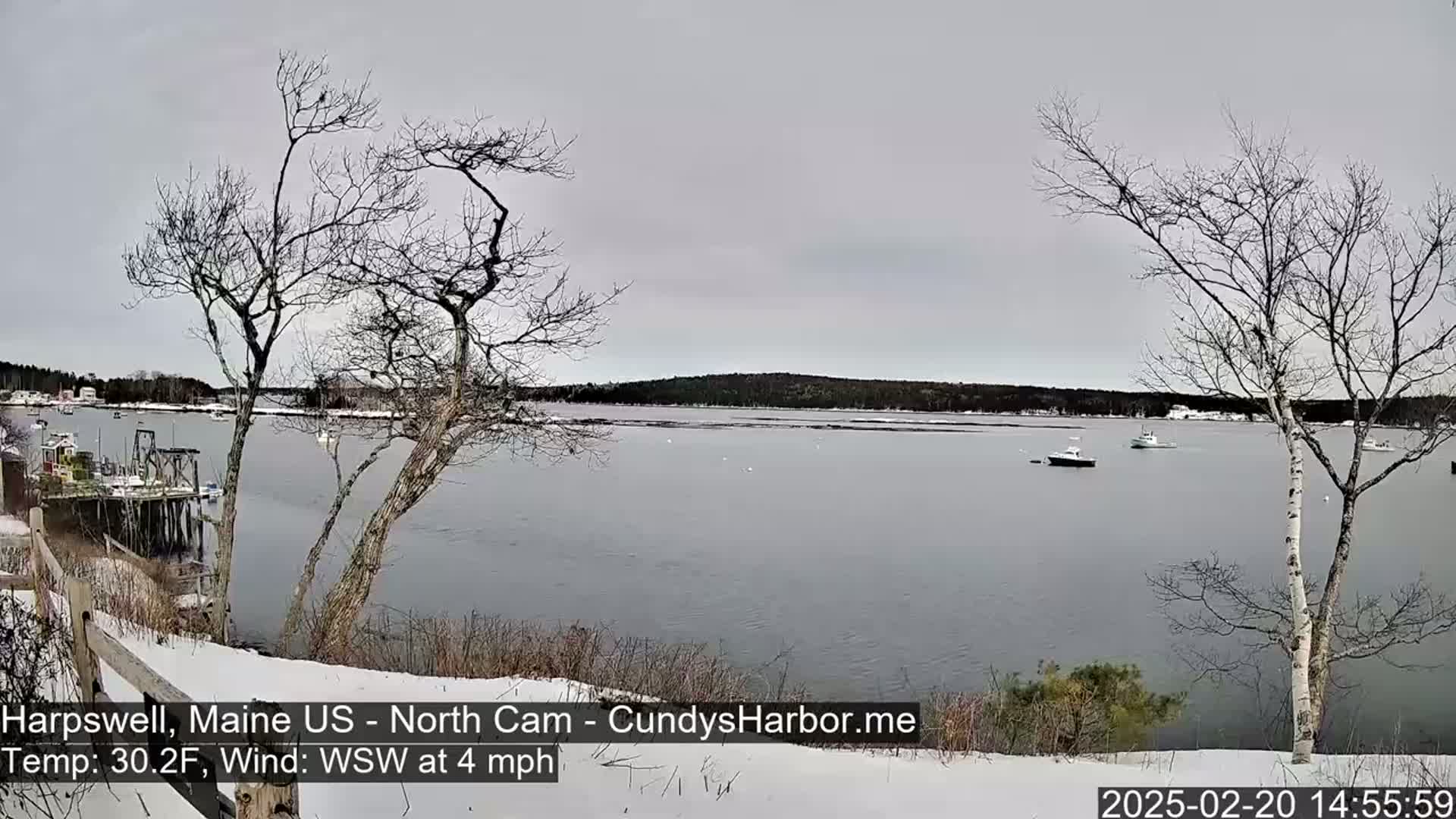 A snow-covered shoreline with leafless trees overlooks a calm body of water where several boats are visible under a gray, overcast sky.