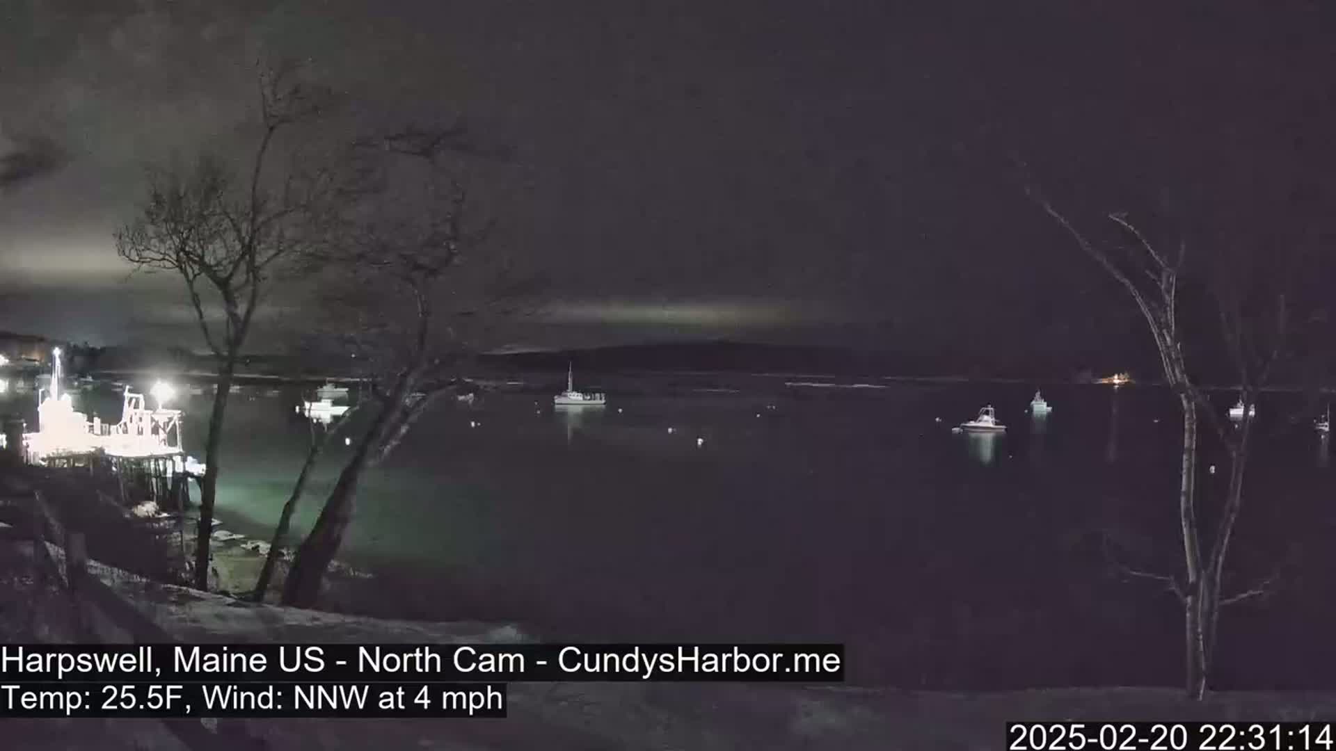 A nighttime view of a calm harbor with several boats, lit by lights on a pier, under a dark sky with a slight wind.