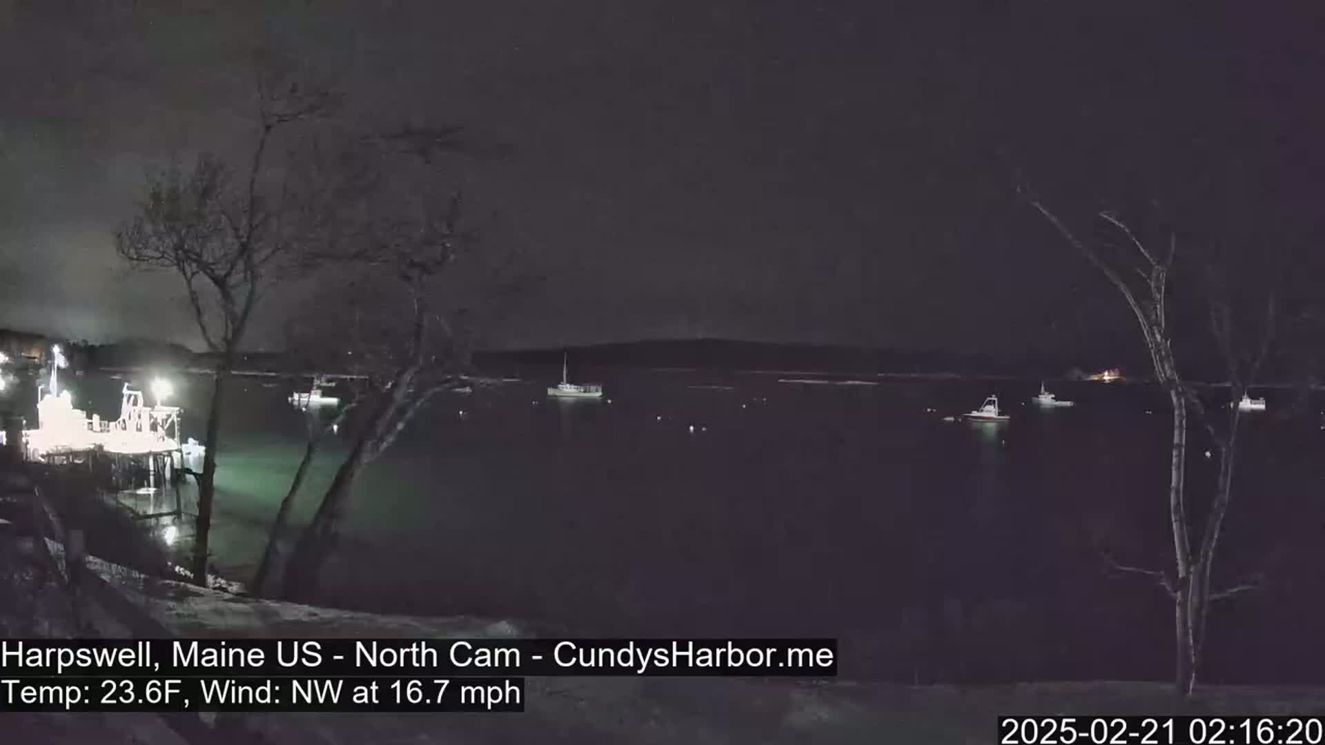 Several boats are moored in a dark, calm body of water at night under a clear sky.