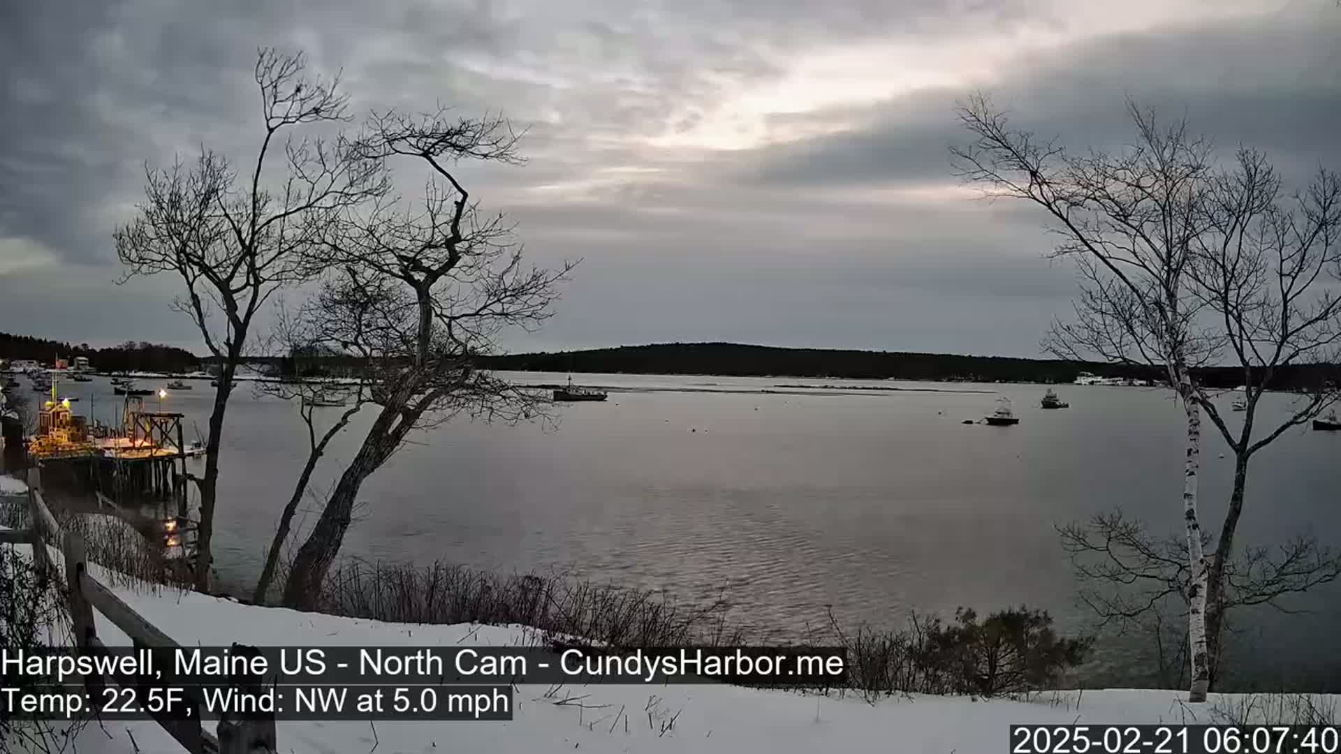 A snow-covered shoreline with bare trees overlooks a calm body of water where several boats are moored under a cloudy, overcast sky.