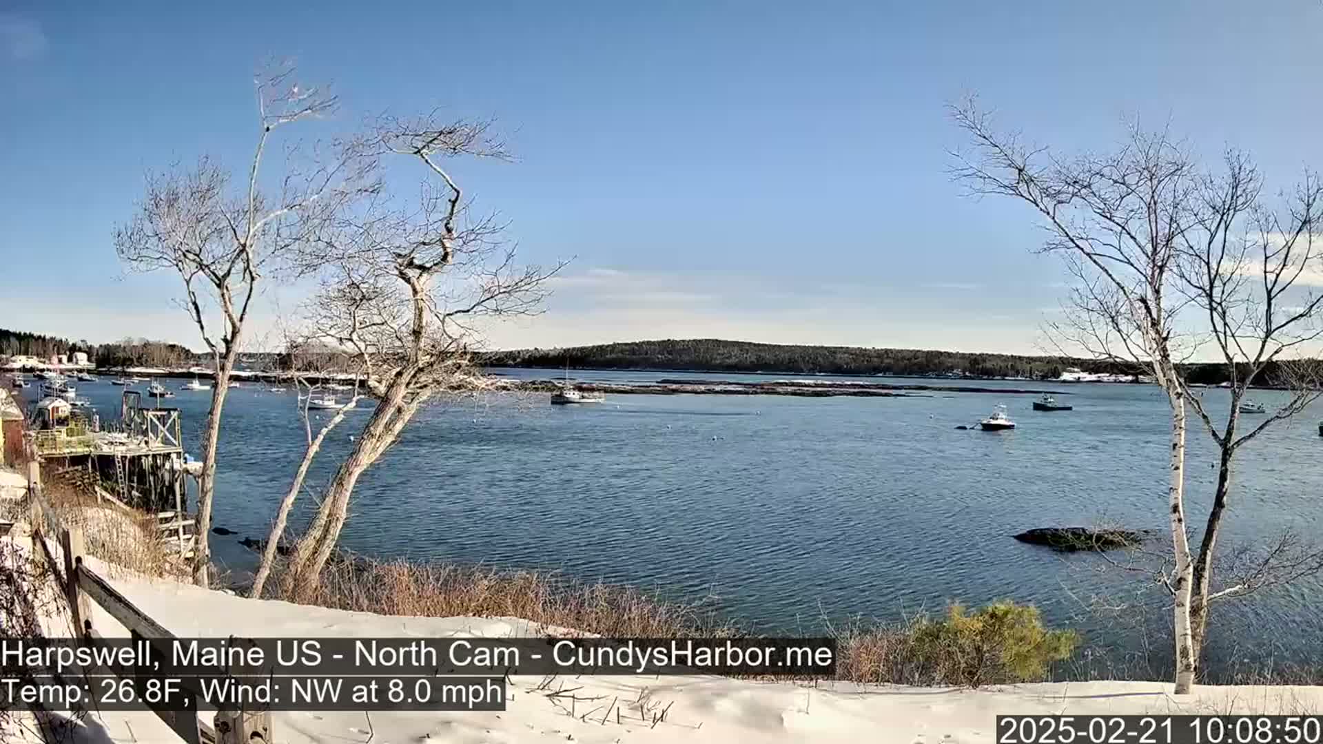 A snow-covered shoreline overlooks a calm bay with several small boats, under a clear blue sky.