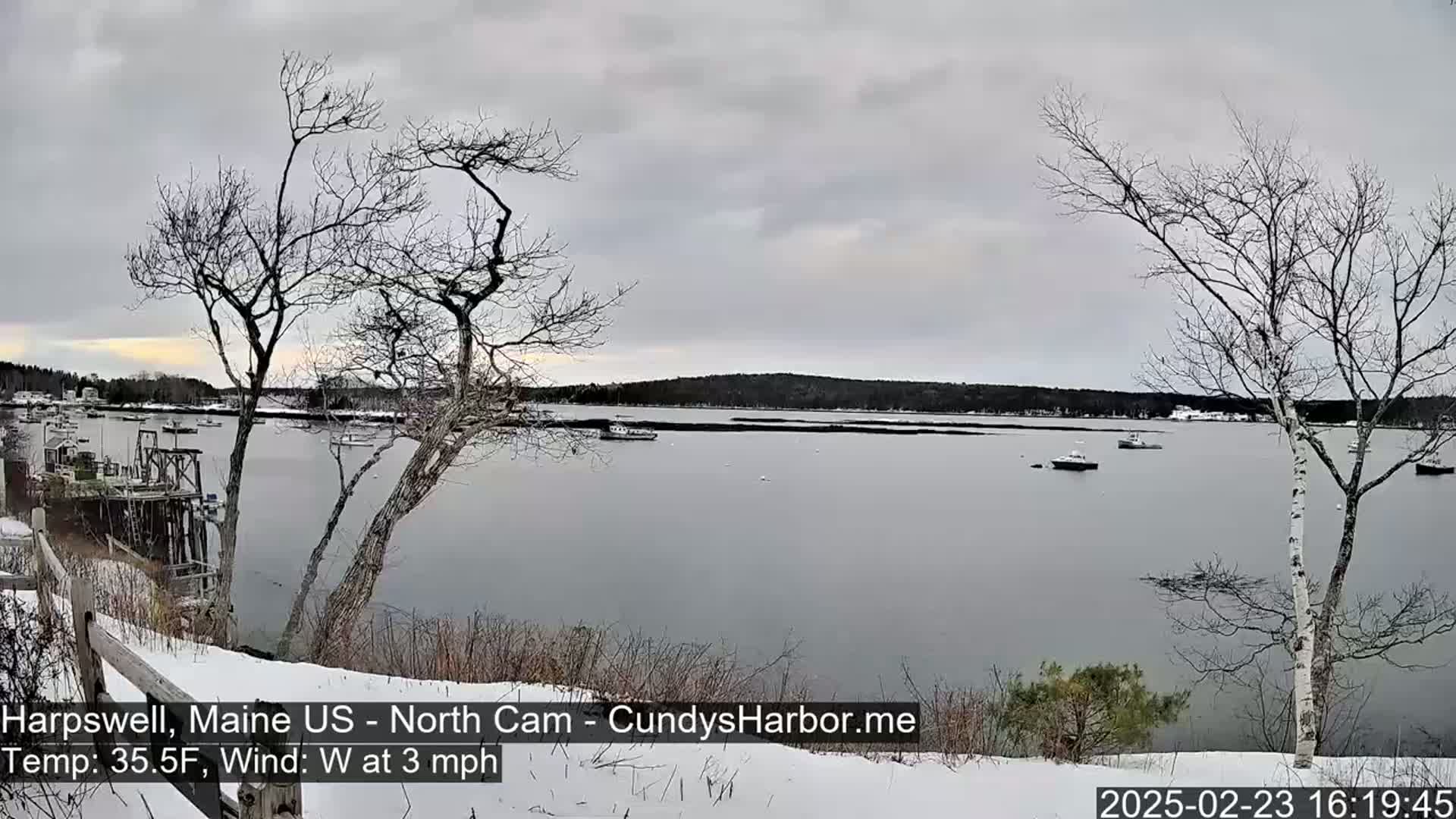 A snow-covered shoreline with bare trees overlooks a calm bay containing several small boats under an overcast sky.