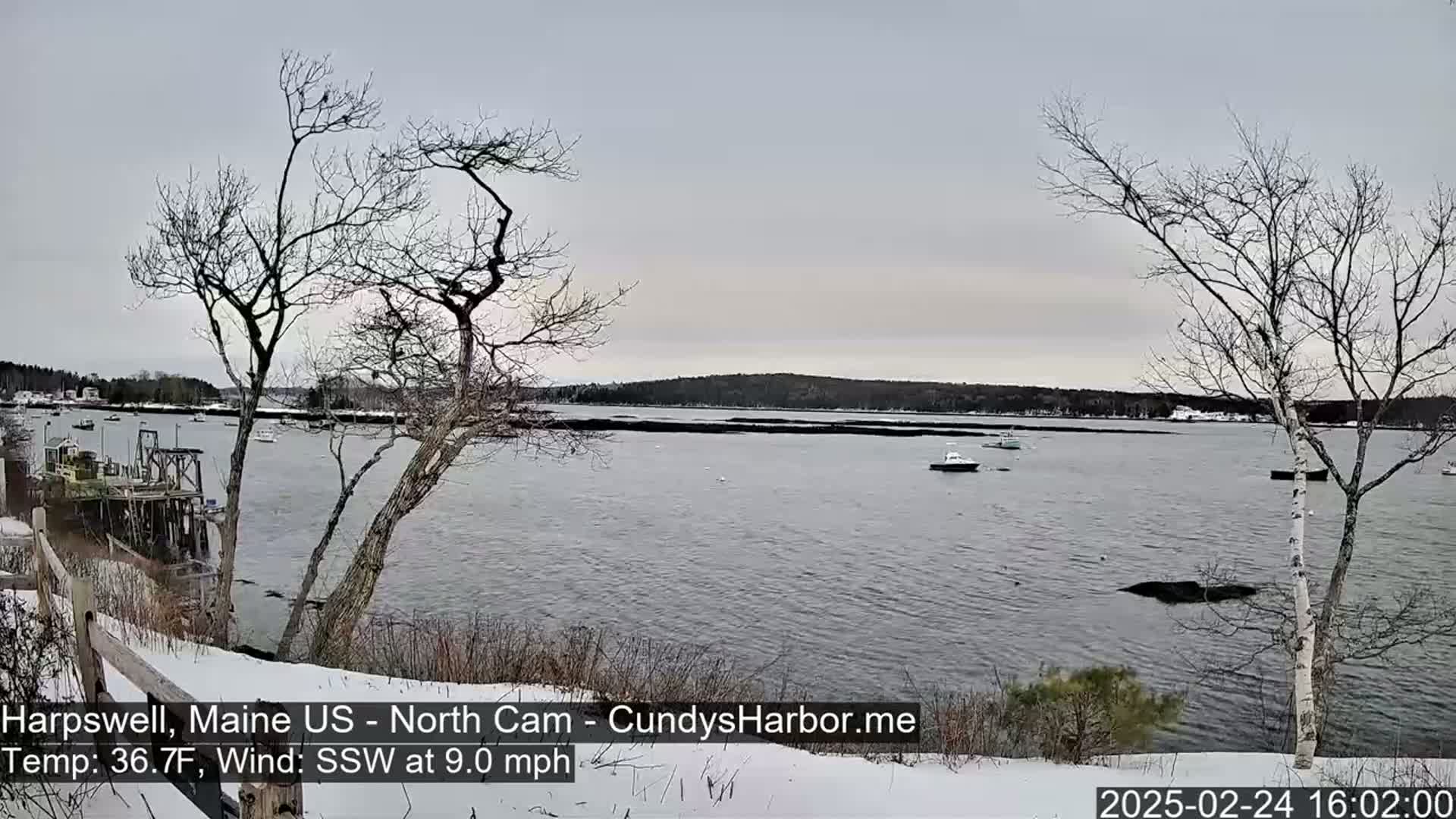 A snow-covered shoreline overlooks a calm body of water with several boats and a distant wooded area under an overcast sky.