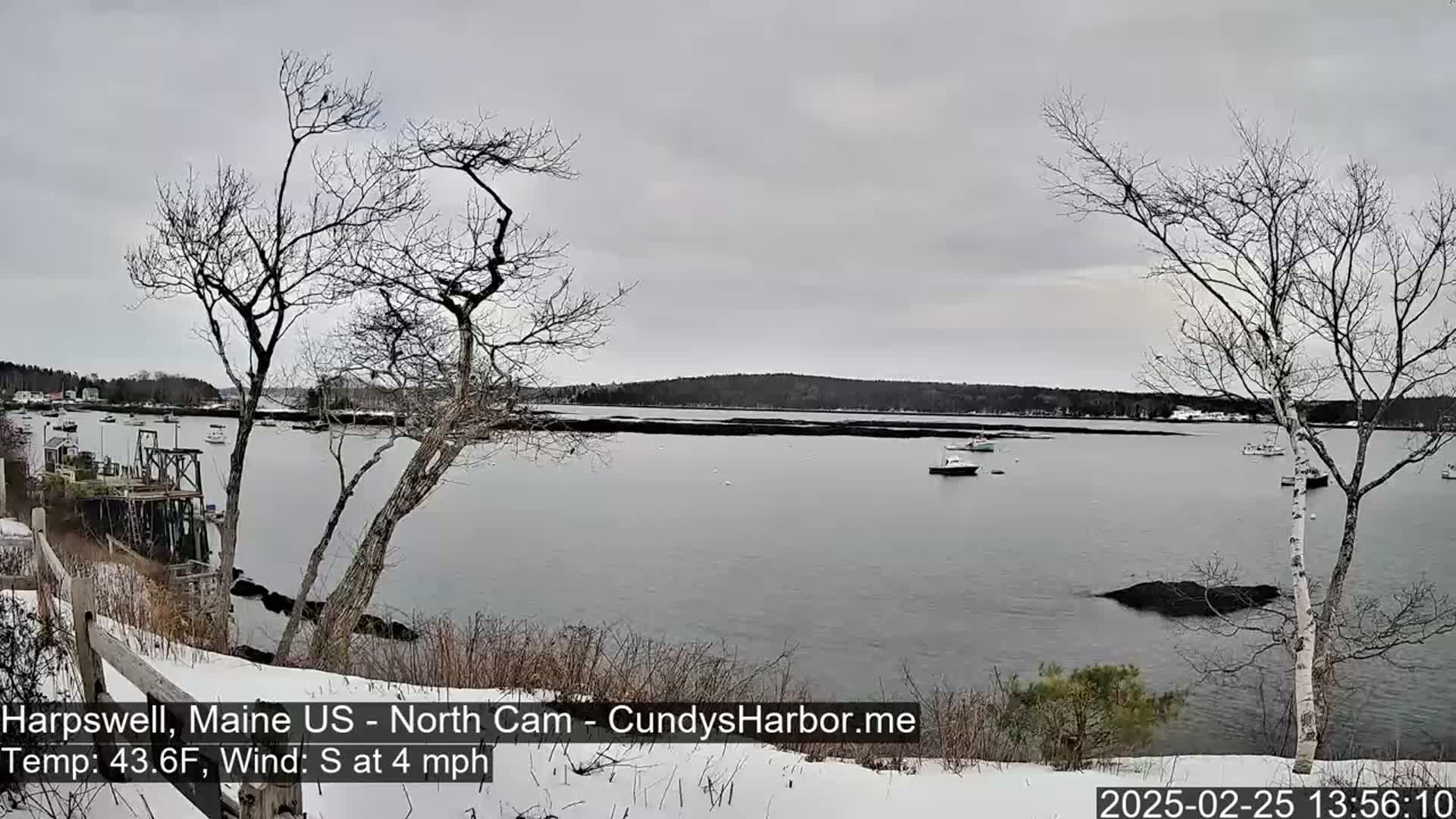 A calm, gray day shows a view of a harbor with several boats, partially snow-covered land, and bare trees in the foreground.