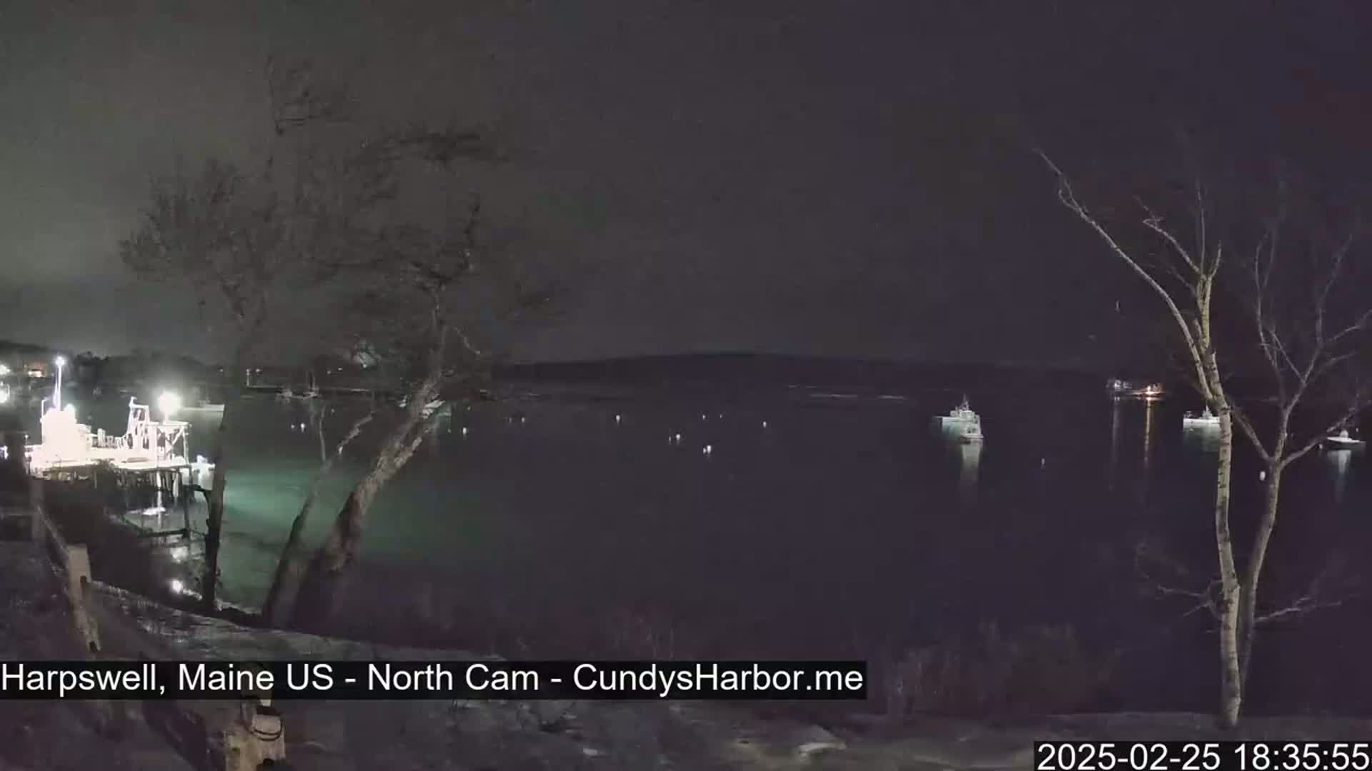 A nighttime view of a dark body of water with several boats and a dock, illuminated by lights, surrounded by bare trees under a clear, dark sky.