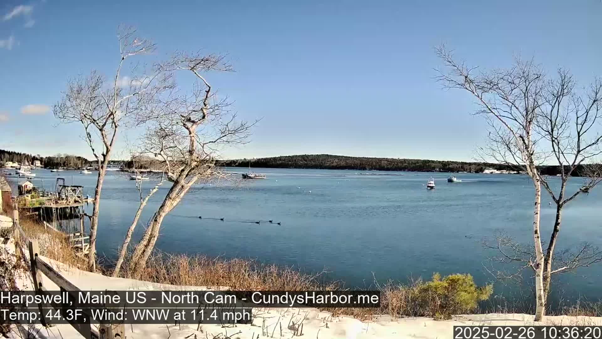 A tranquil, partly snowy waterfront scene shows a calm body of water with several boats, under a clear blue sky, with a moderate wind.