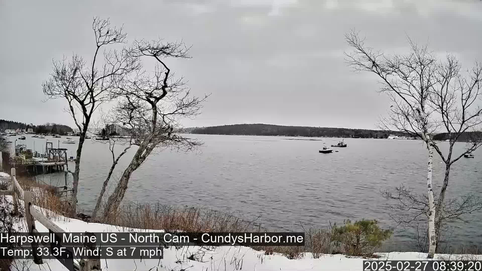 A snow-covered shoreline overlooks a calm body of water with several boats, under an overcast sky.