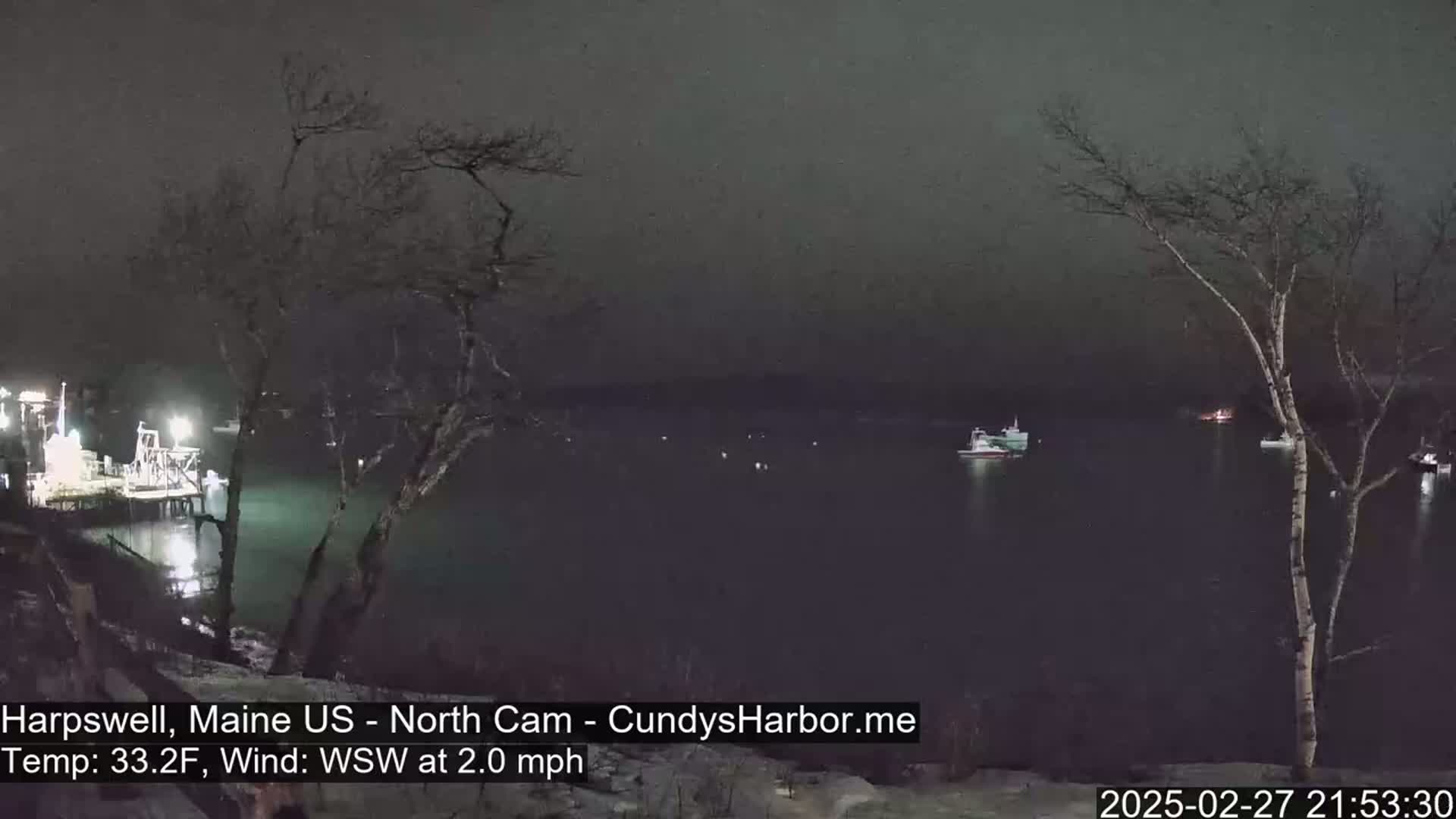 A nighttime view of a dark harbor with several boats, a dock with lights, and bare trees under a cloudy sky.