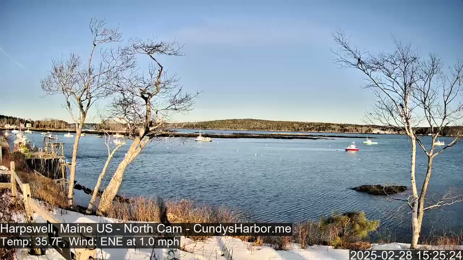 A calm, sunny day shows several boats in a harbor, viewed from a snow-dusted shoreline with bare trees in the foreground.