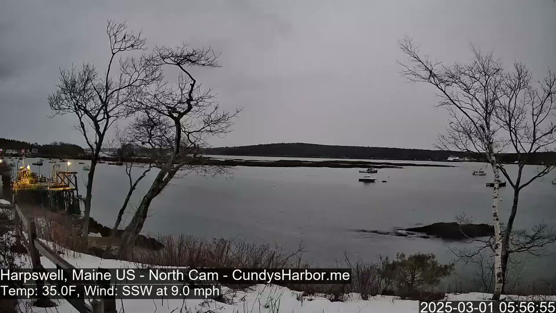 A calm, gray day shows a view of a harbor with several boats, bare trees, a snow-covered shoreline, and a small pier.
