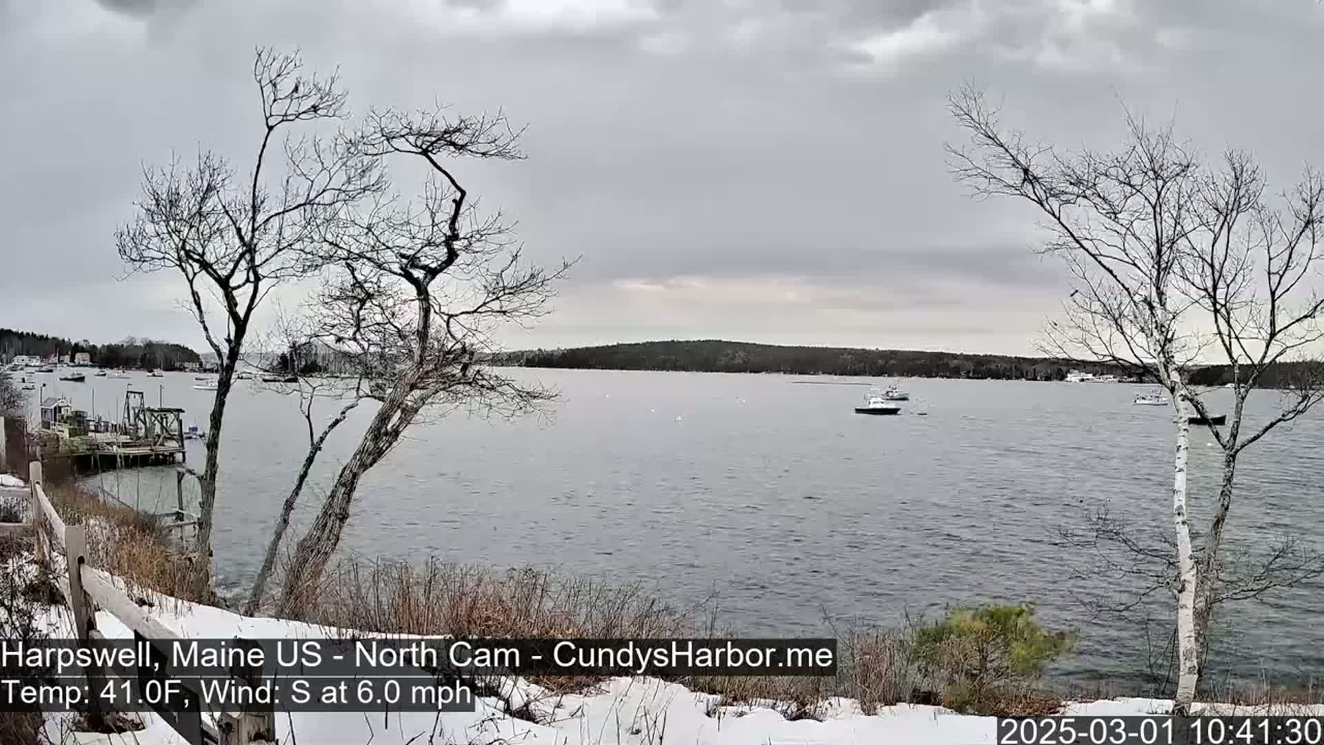 A snow-dusted shoreline with bare trees overlooks a calm body of water where several boats are moored under an overcast sky.