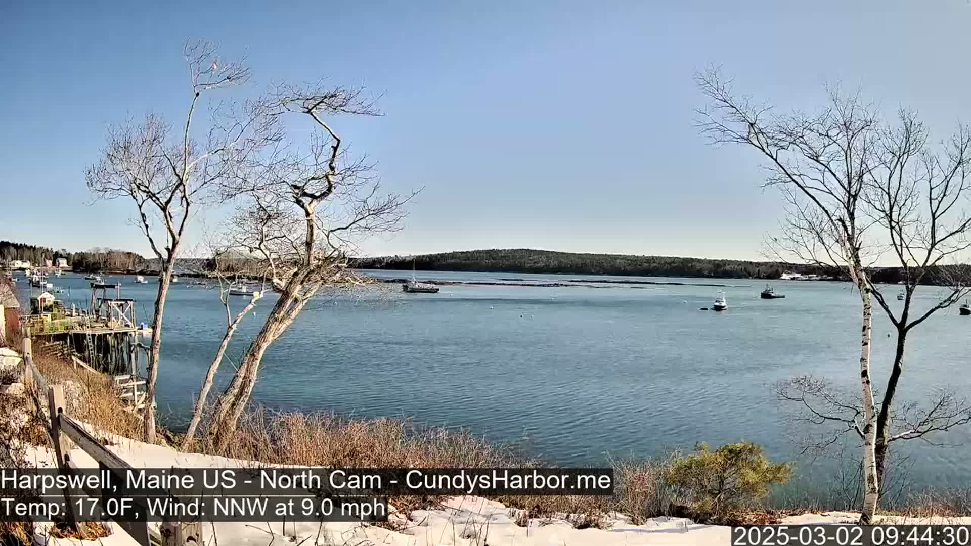 A tranquil bay with several boats is viewed from a snow-dusted, tree-lined shoreline on a clear, sunny day with a northwest wind.