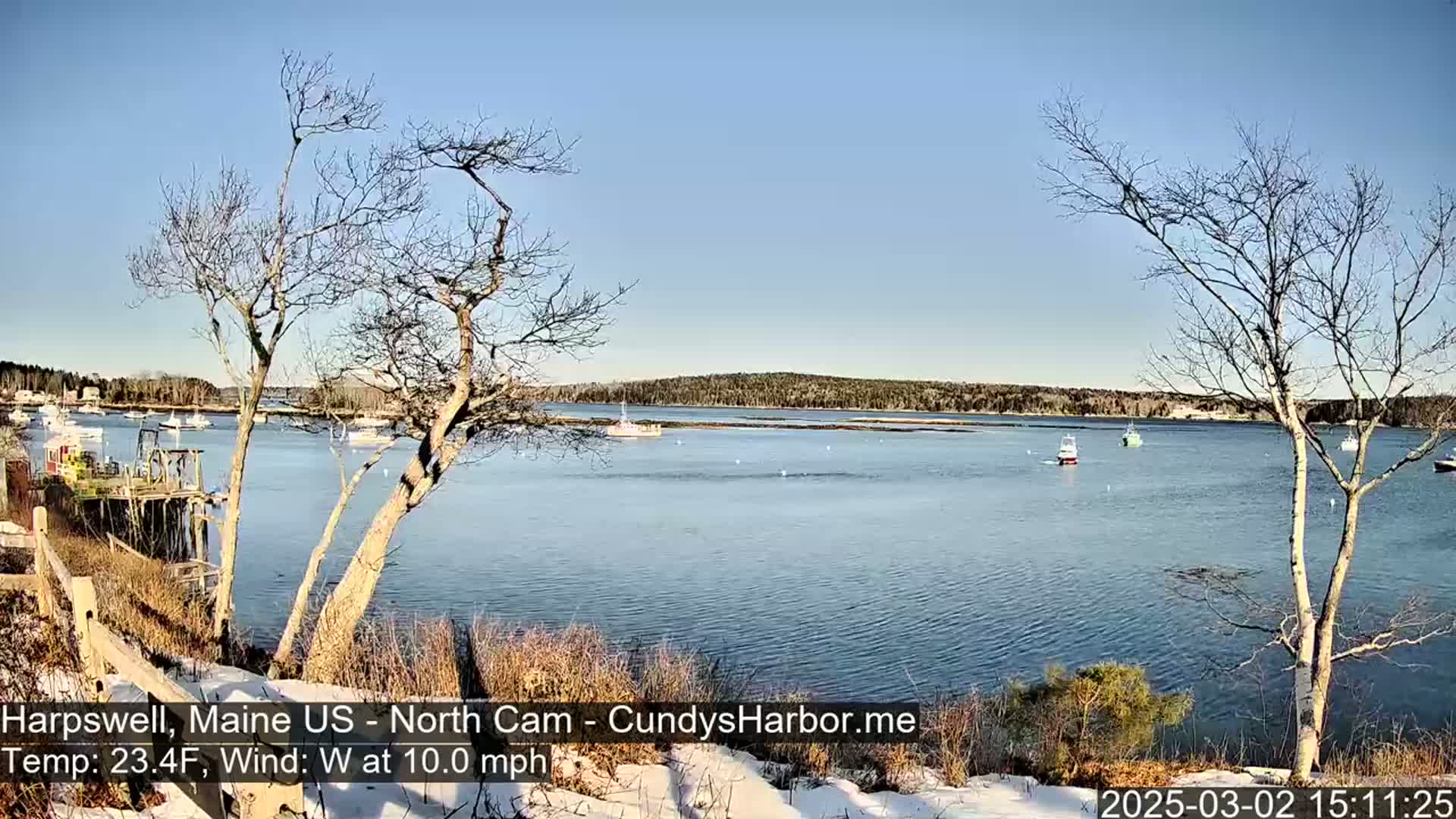 A calm body of water with several boats is viewed from a snow-dusted shoreline with leafless trees under a clear, bright sky.