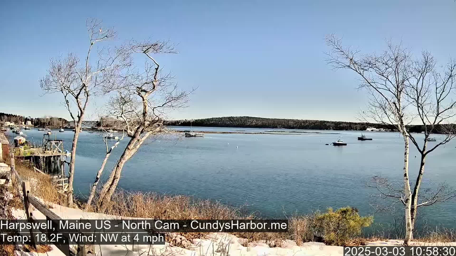 A calm, clear day shows a view of a harbor with several boats, seen from a snow-dusted shoreline with leafless trees in the foreground.