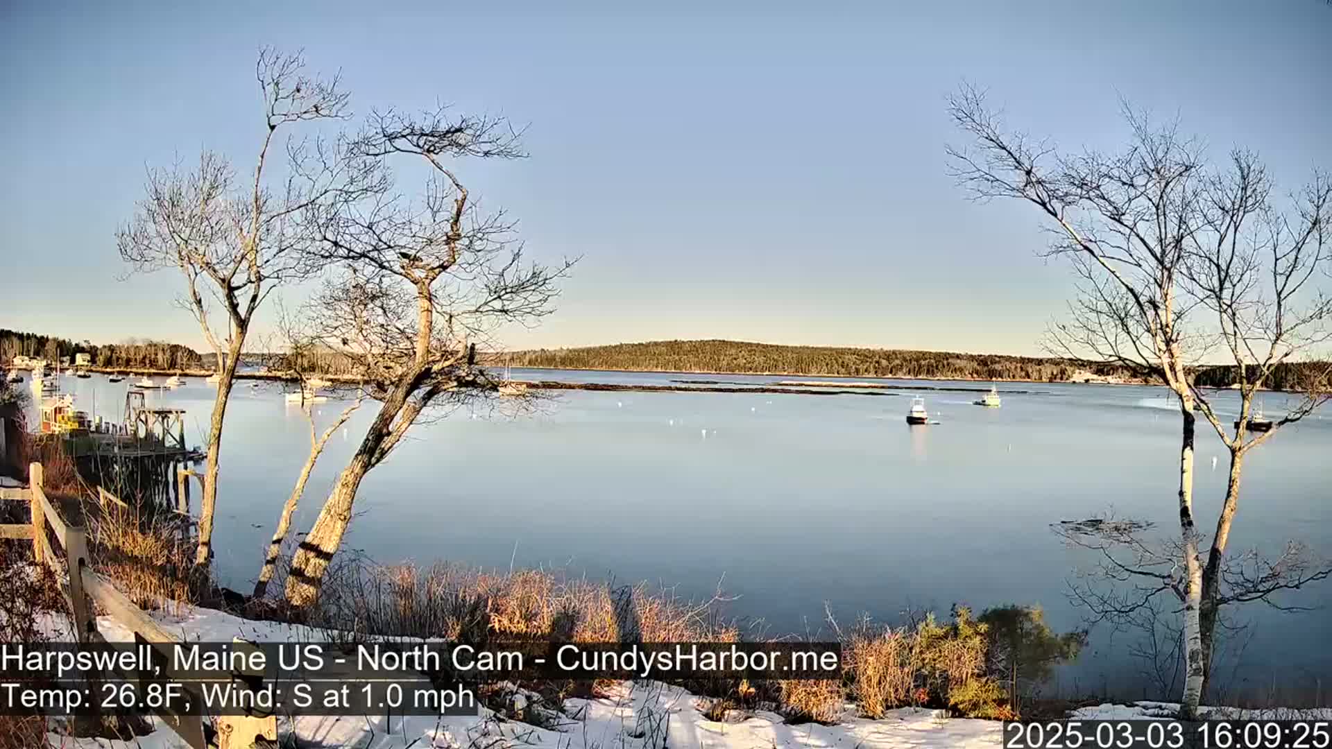 A calm, clear day with a light south wind reveals a harbor scene with several boats moored and a few others underway, viewed from a snow-dusted shoreline with bare trees in the foreground.