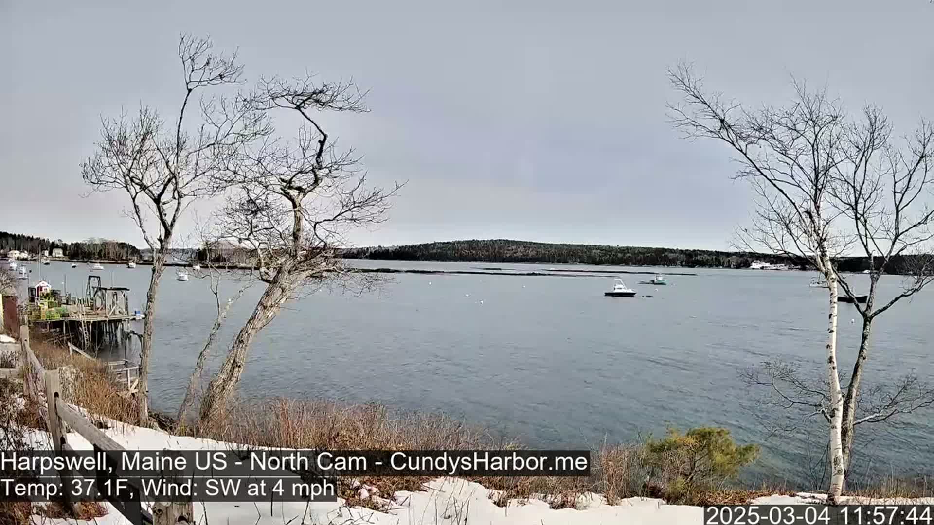 A calm, gray day with a southwest wind at 4 mph shows a view of a harbor with several boats, partially snow-covered ground, and bare trees in the foreground.