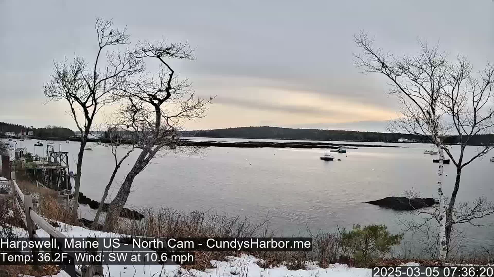 A calm, gray day with a light southwest wind shows a view of a harbor with several boats, viewed from a snow-dusted shoreline with bare trees.