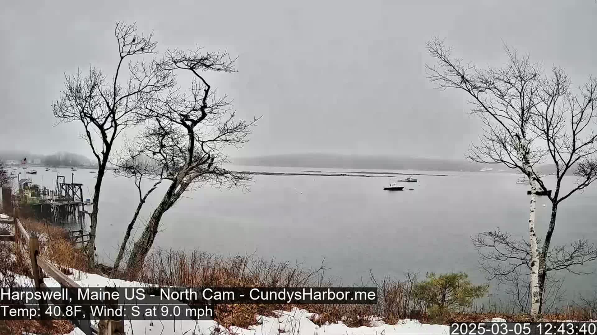 A snow-dusted, tree-lined shoreline overlooks a calm body of water with several boats under an overcast sky.