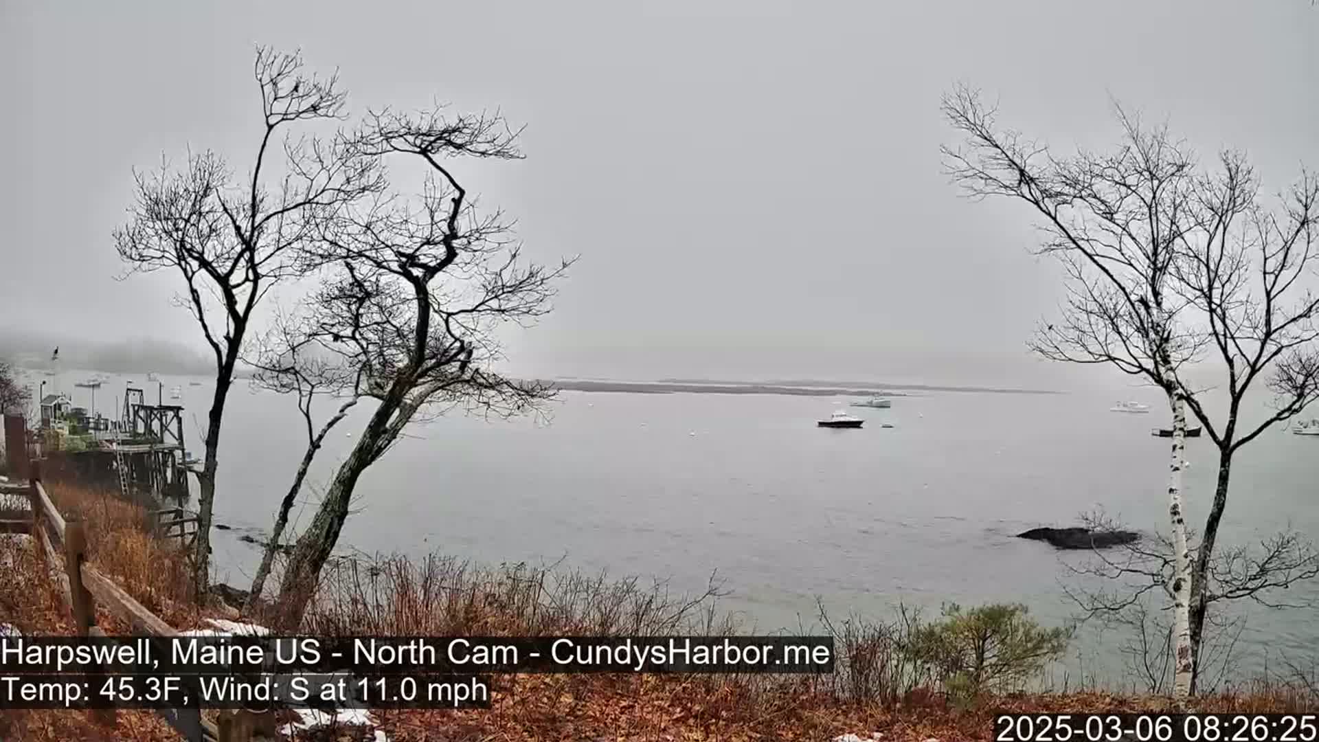 A gray, overcast day shows a calm body of water with several boats, viewed from a rocky shore with leafless trees and a weathered dock in the foreground.