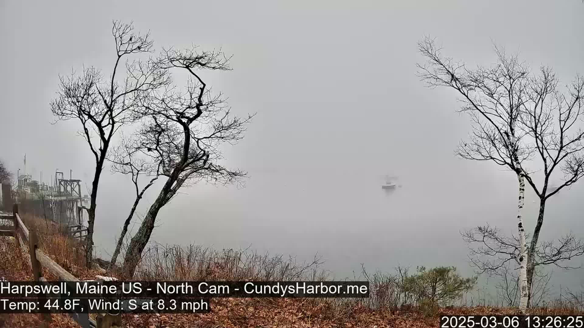 A foggy waterfront scene shows bare trees and a distant, barely visible boat on calm water.