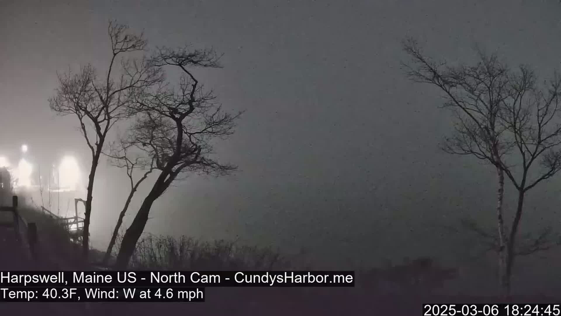 Bare trees stand silhouetted against a foggy, dark gray sky under a nighttime sky with a light westerly wind.