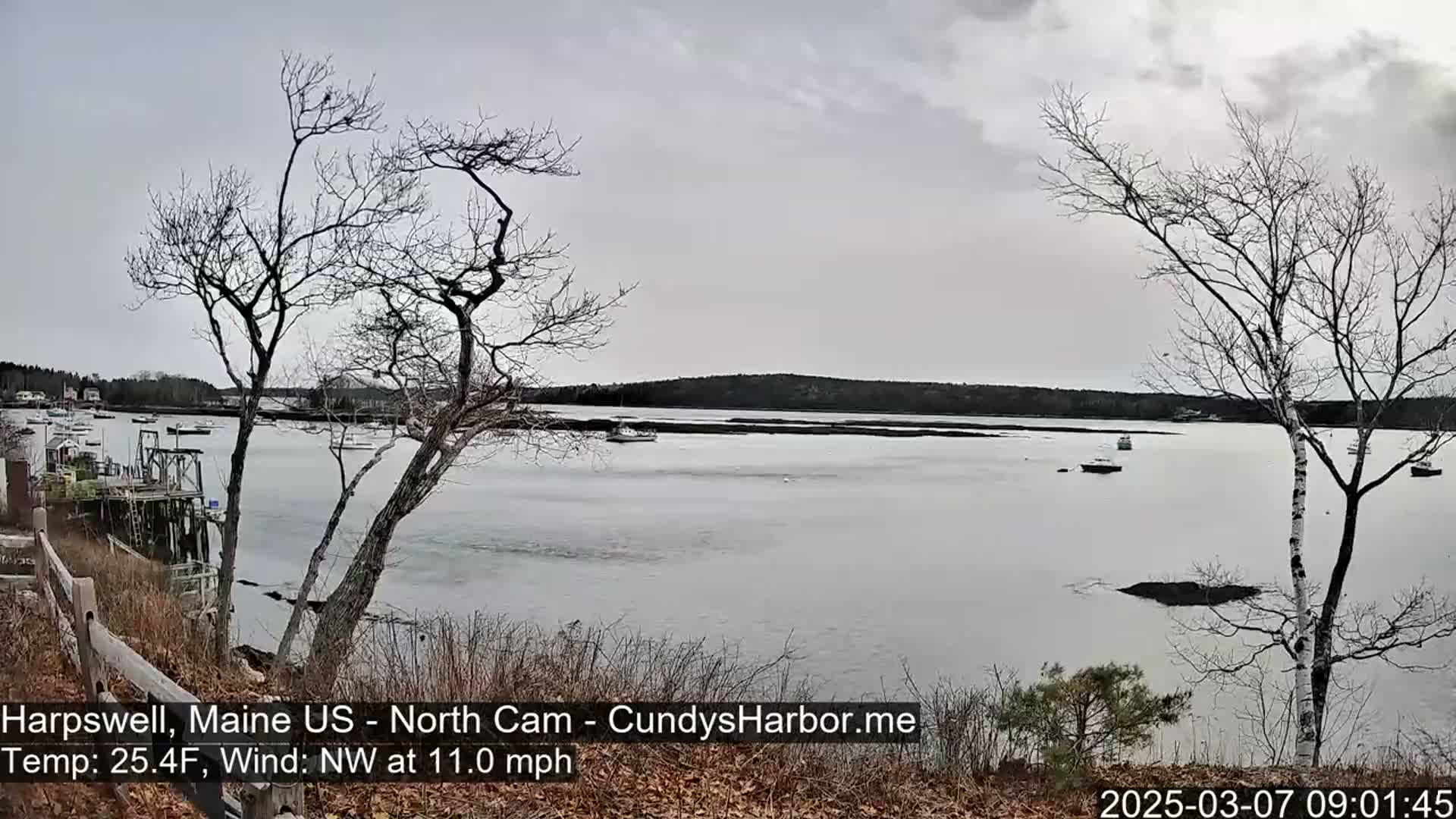 A calm body of water with several boats is viewed from a shoreline with bare trees under an overcast sky.