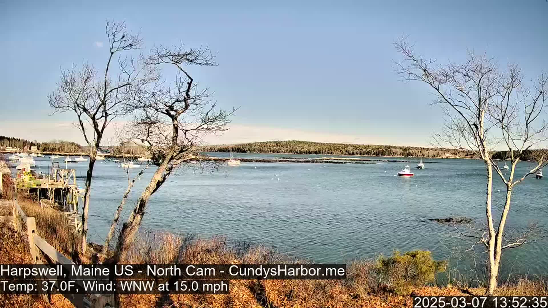 A calm body of water with several boats is viewed from a shoreline with leafless trees and a wooden fence under a clear, sunny sky.