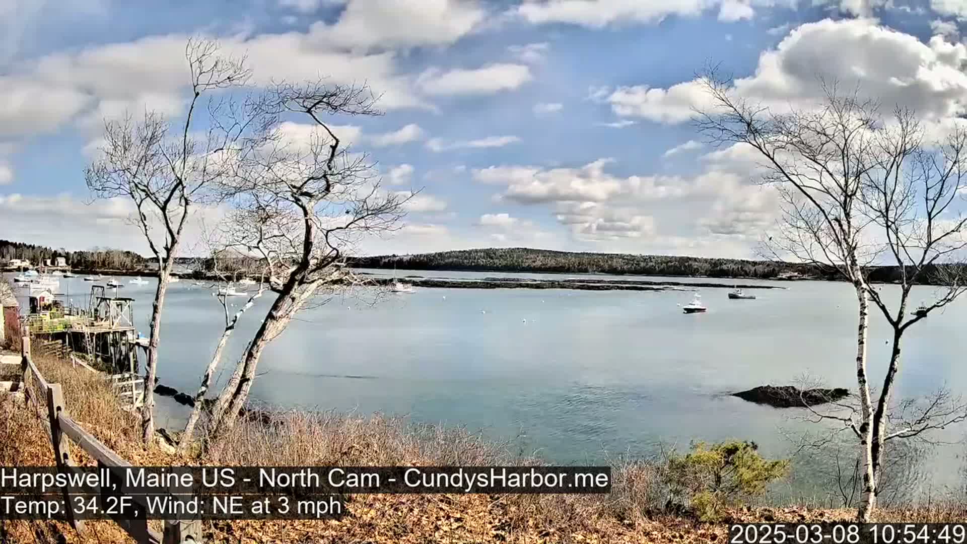 A partly cloudy day reveals a tranquil harbor scene with several boats, viewed from a high vantage point overlooking bare trees and a rocky shoreline.