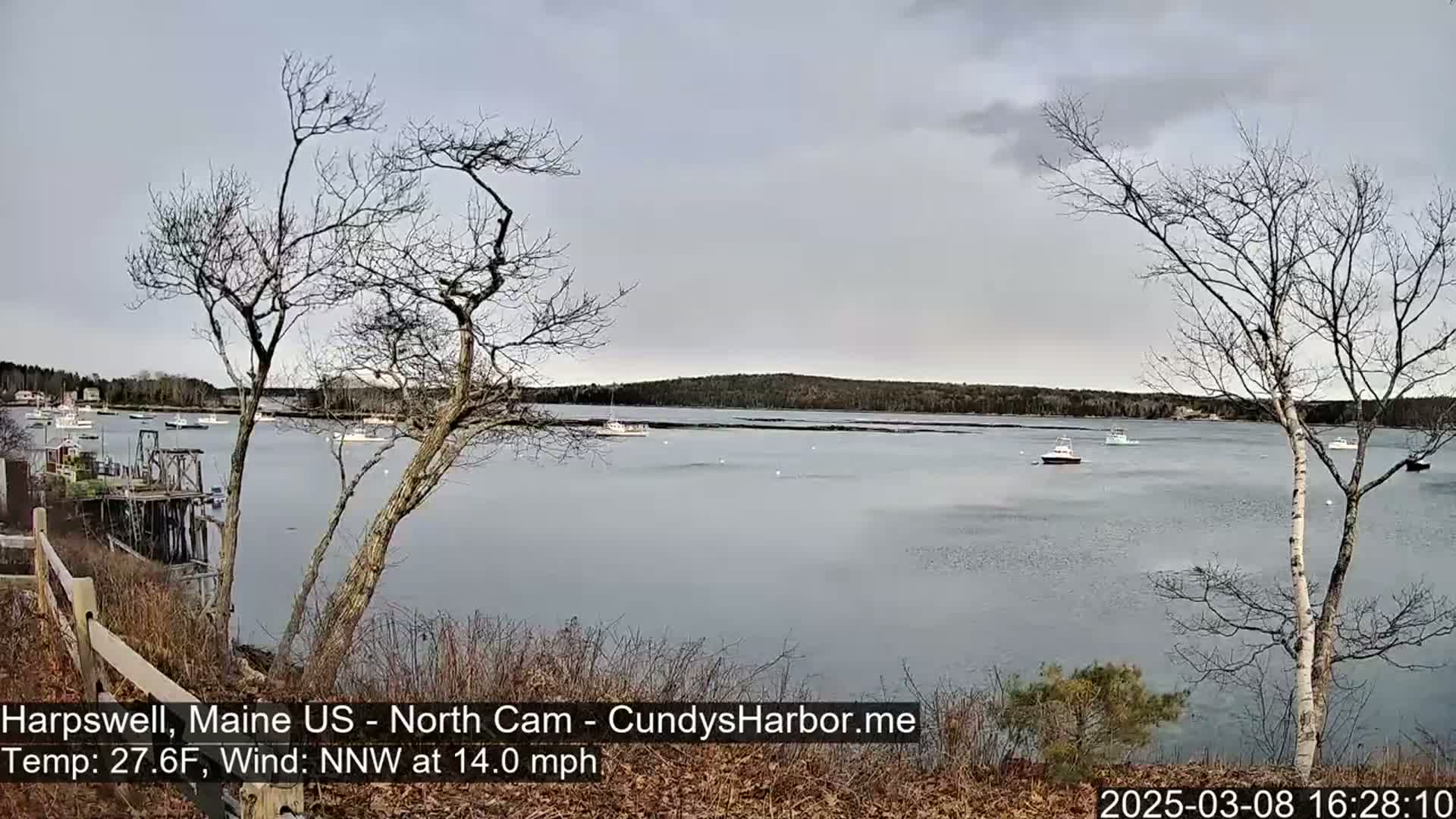 A calm, gray day shows a view of a harbor with several boats, and bare trees in the foreground under a cloudy sky.
