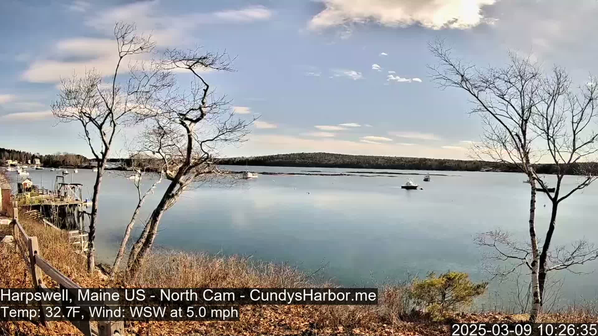 A calm, partly cloudy day reveals a tranquil harbor scene with several boats and bare trees in the foreground, under a light wind.