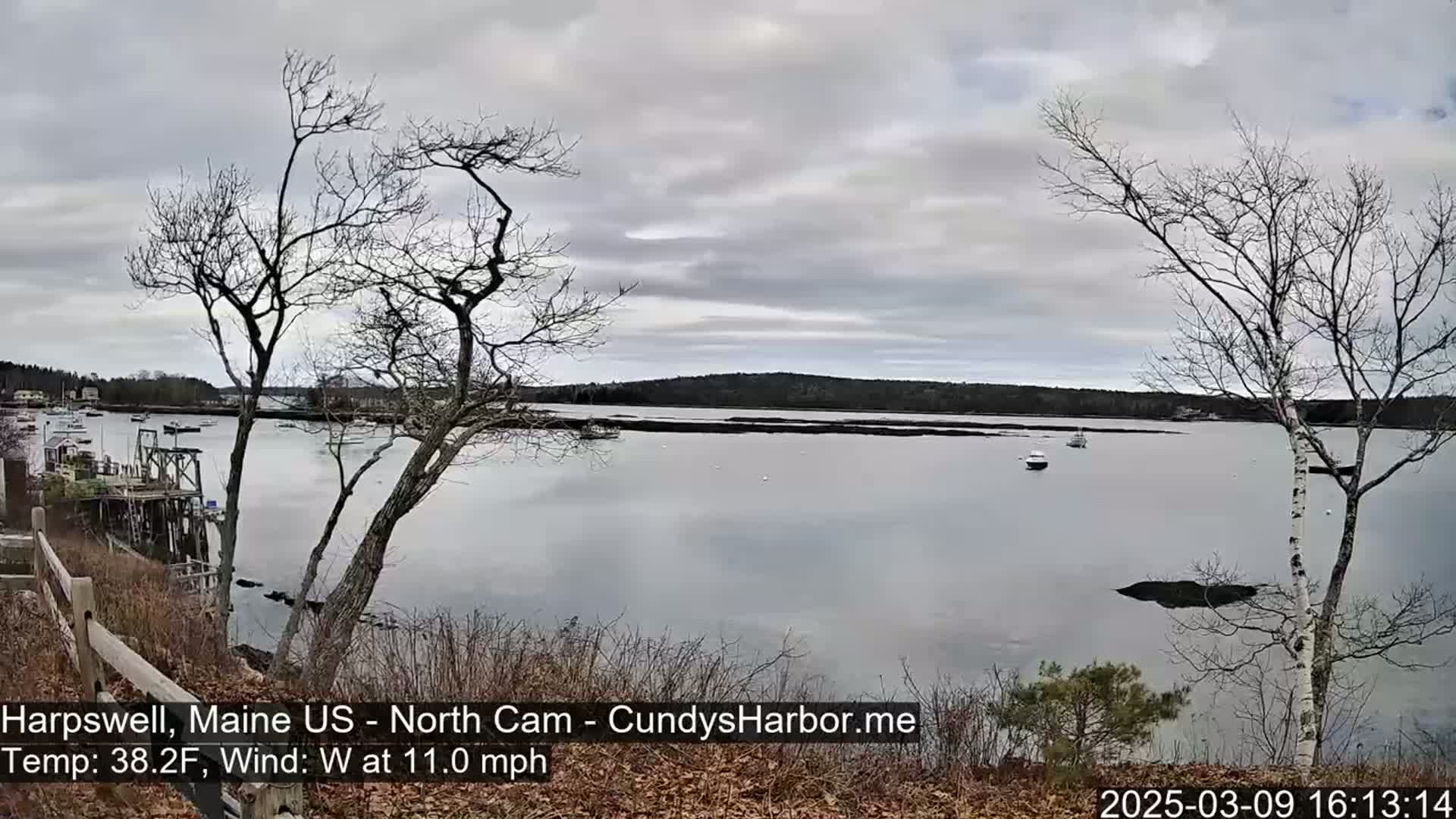 A calm body of water with several boats and a distant shoreline under an overcast sky.