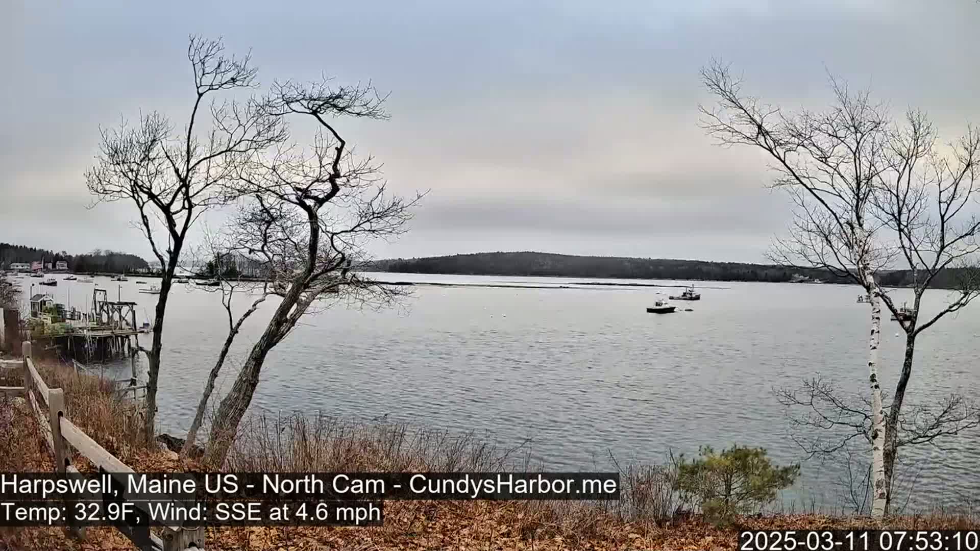 A calm, overcast day reveals a view of a body of water with several small boats, a distant shoreline, and bare trees in the foreground.