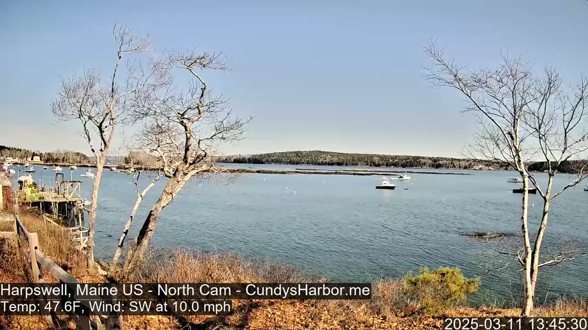 A calm body of water with several boats is seen from a shoreline with leafless trees and a wooden fence under a clear blue sky.
