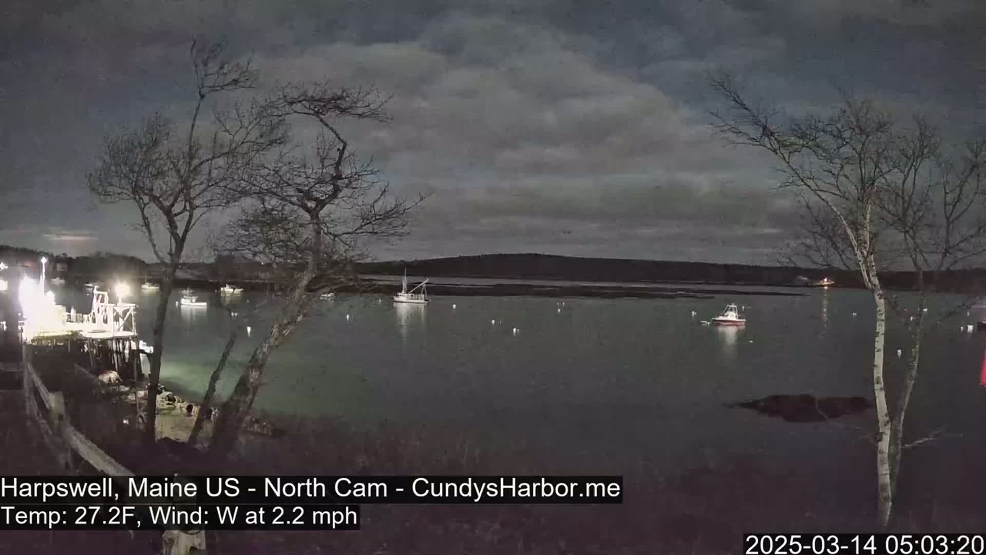 A nighttime view of a calm harbor with several boats moored, under a cloudy, dark sky.
