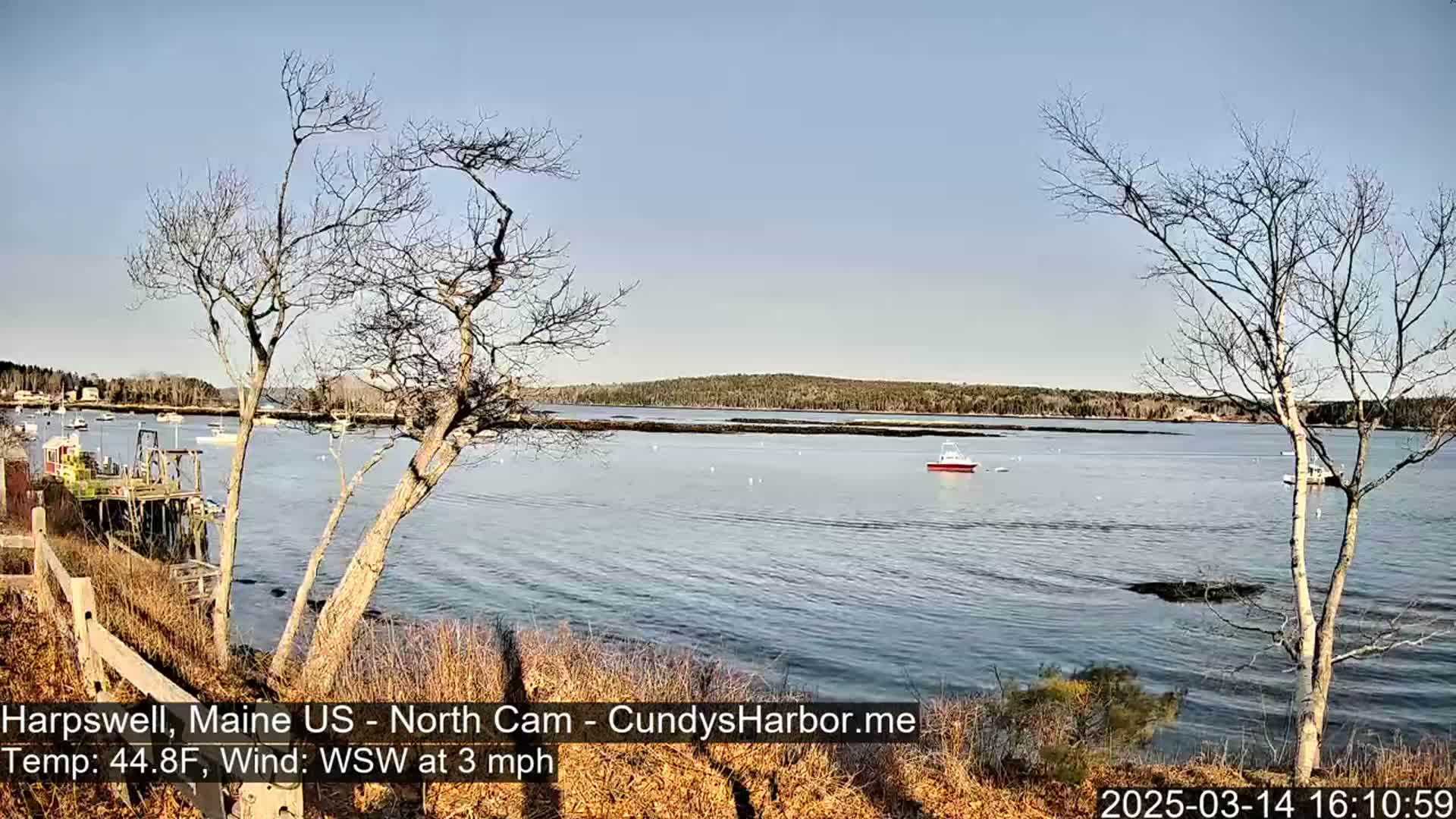 A calm, sunny day shows a view of a harbor with several boats, trees without leaves, and a shoreline.