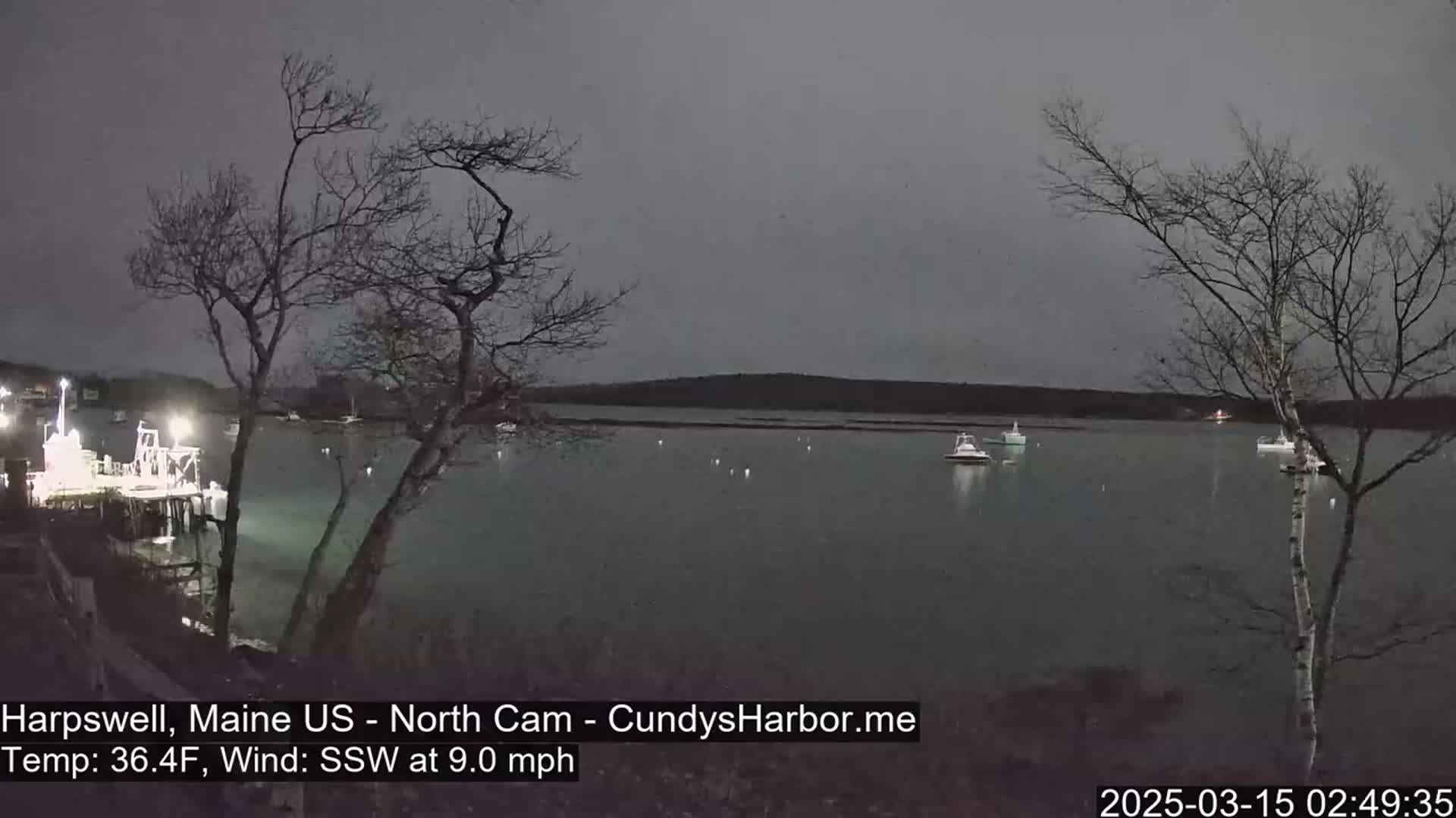 A dark, calm body of water at night shows several boats moored near a lit pier under a gray sky, with bare trees in the foreground.