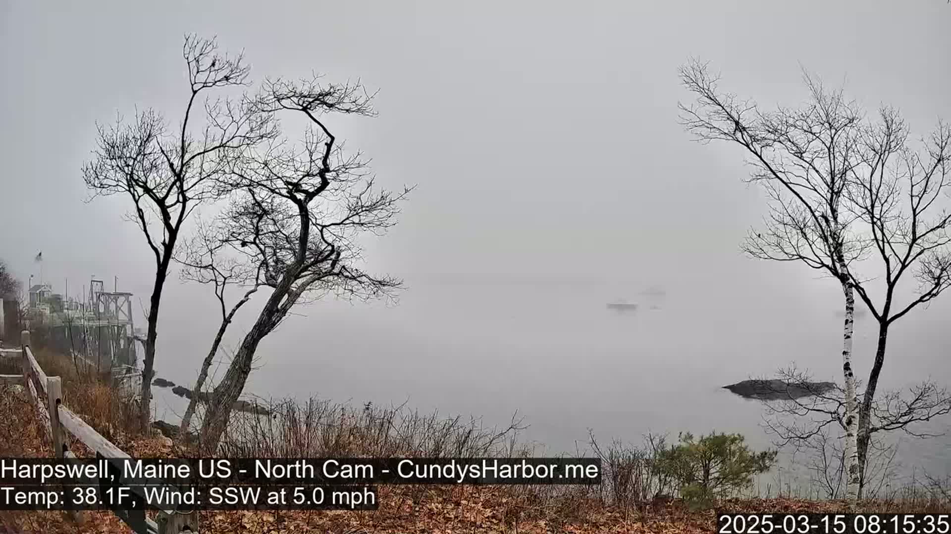 A foggy, gray coastal scene shows leafless trees overlooking a calm body of water with a few indistinct objects in the distance.