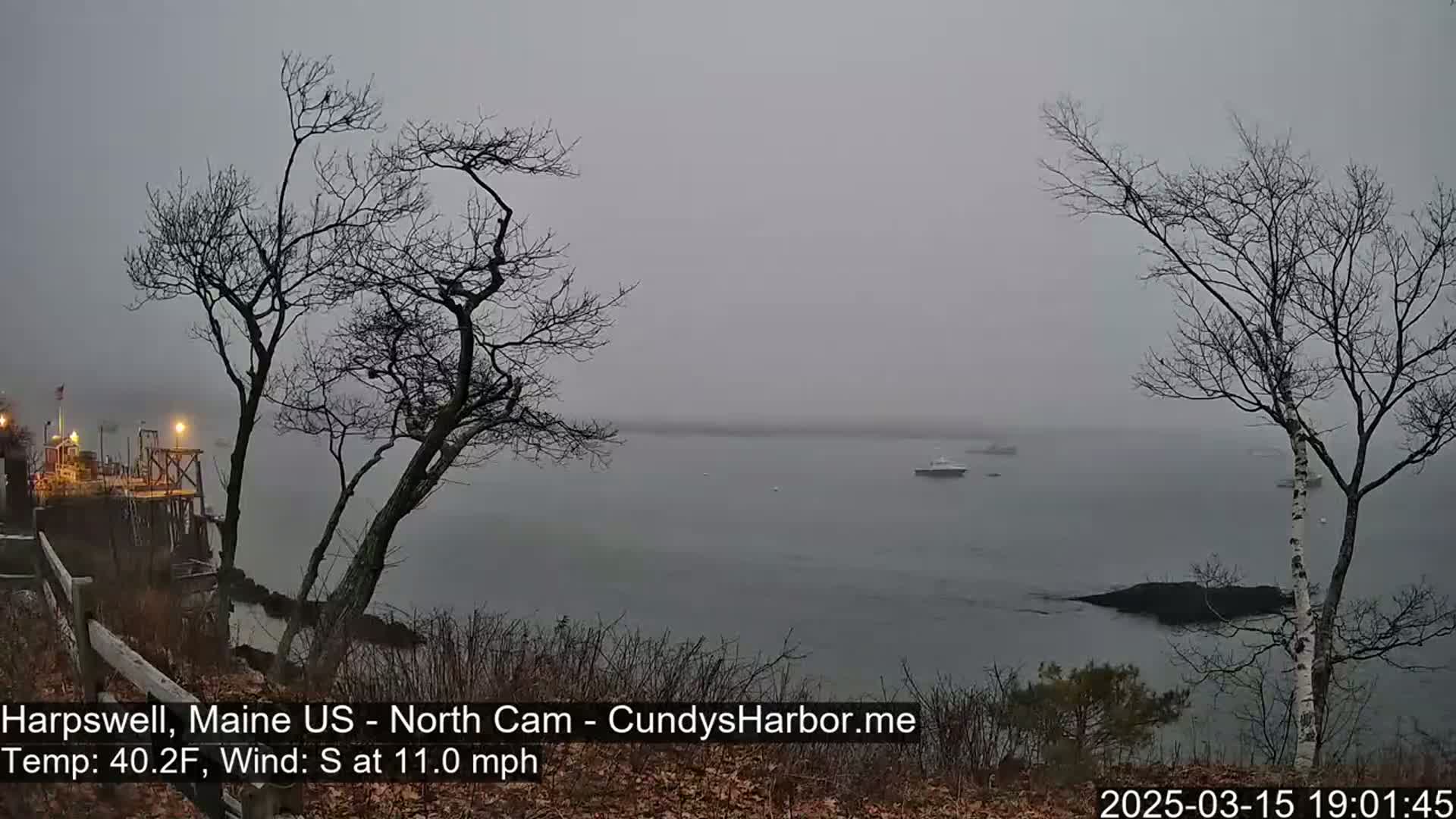A foggy overlook shows a calm body of water with a few boats, a pier with lights, and bare trees in the foreground.