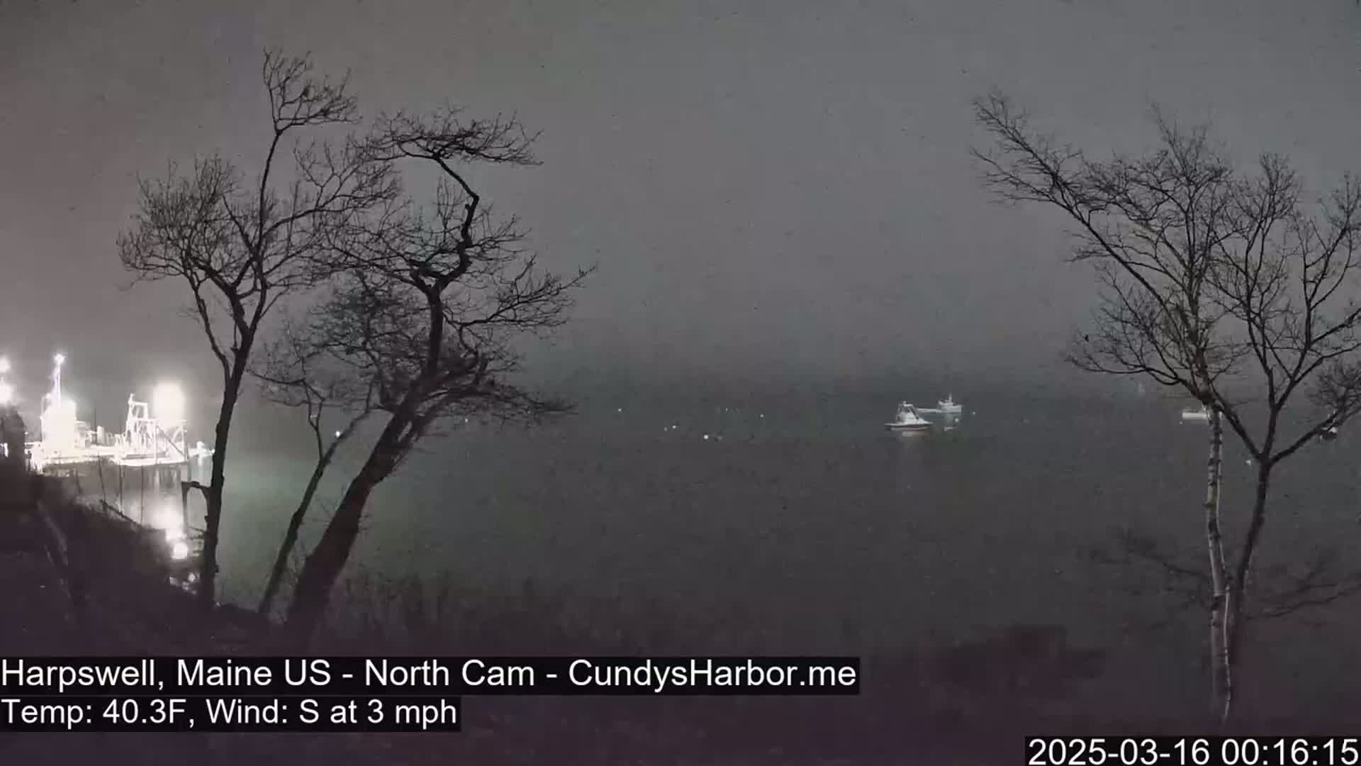 A nighttime view of a harbor shrouded in fog, featuring several boats at a distance and bare trees in the foreground under a dark sky.