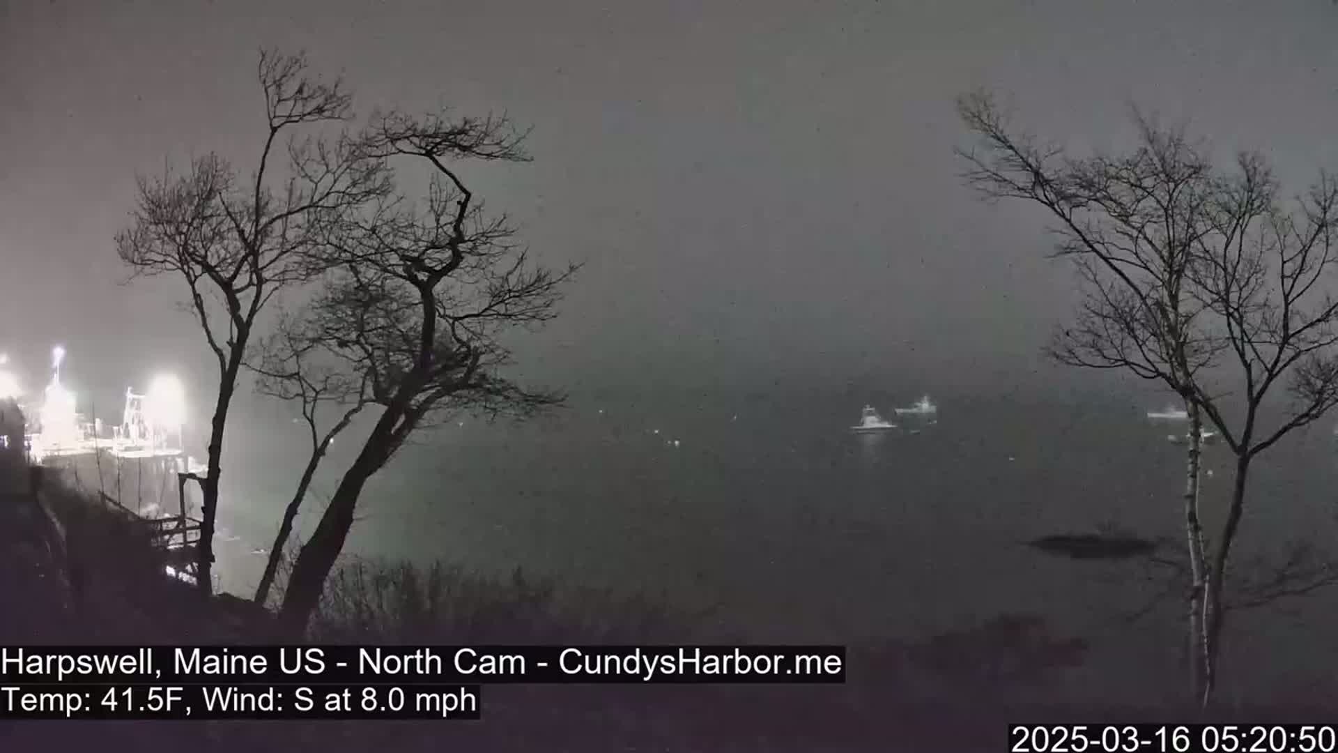 A foggy, nighttime view of a body of water with several boats and bare trees in the foreground under an 8 mph south wind.