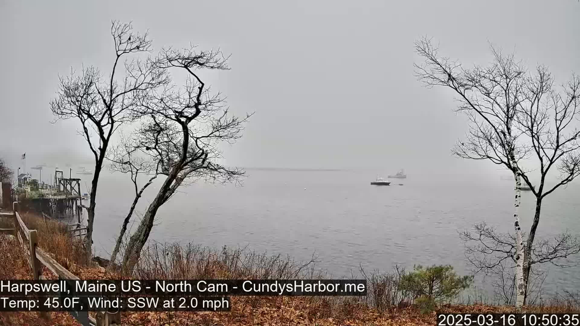 A foggy, gray day reveals a calm body of water with several boats in the distance, viewed from a shoreline with bare trees in the foreground.