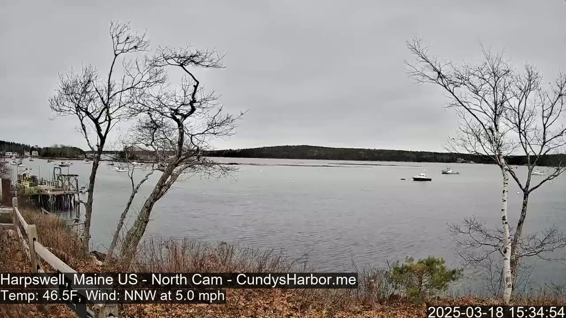 A calm body of water with several boats is viewed from a slightly elevated vantage point on an overcast day, with bare trees in the foreground.