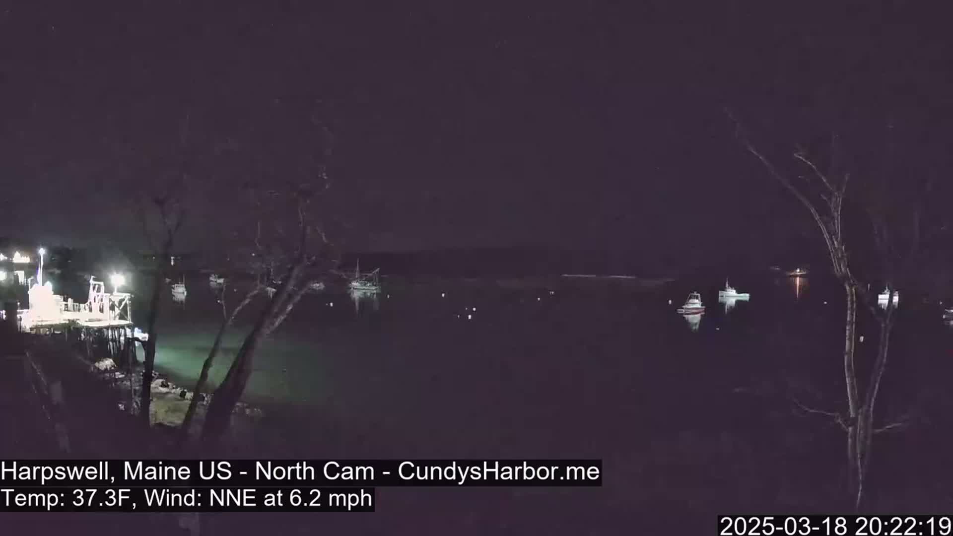 Several boats are moored in a dark harbor at night under a clear sky, with a light wind.