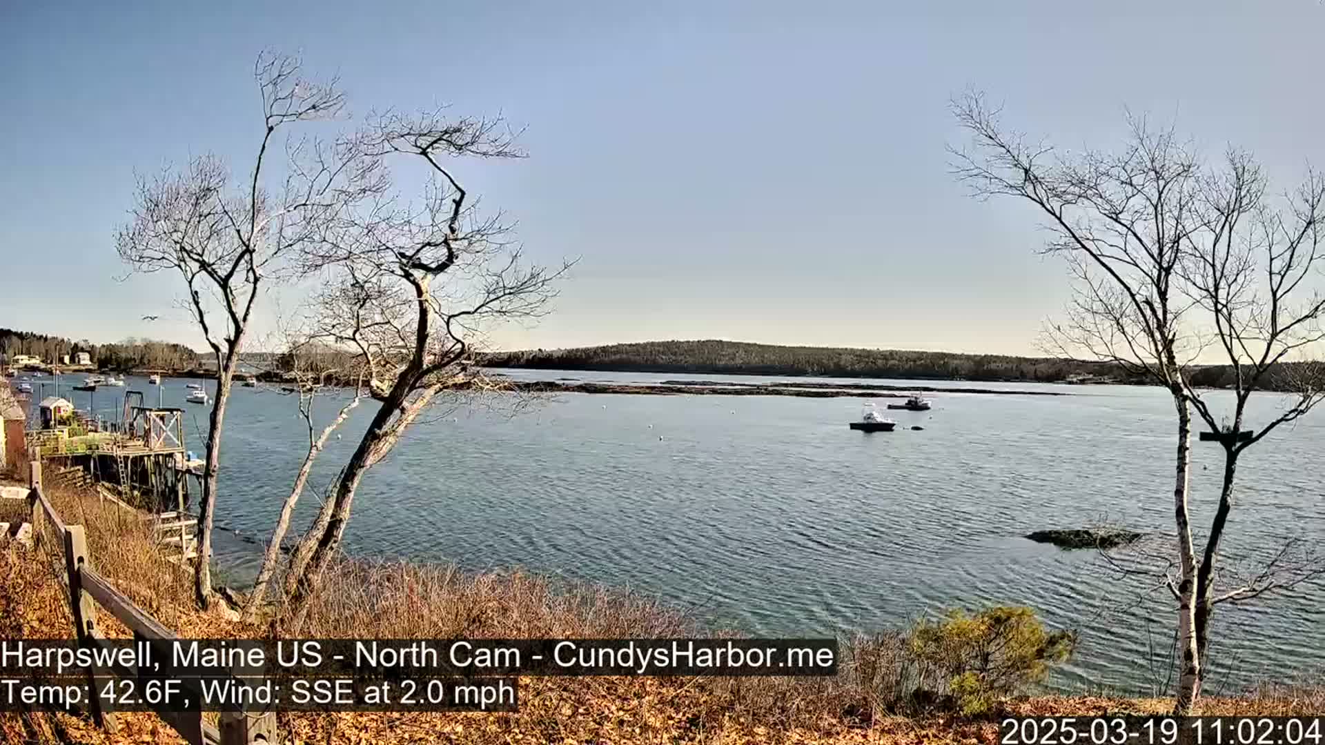 A calm body of water with several boats is viewed from a rocky shoreline on a sunny day with bare trees in the foreground.
