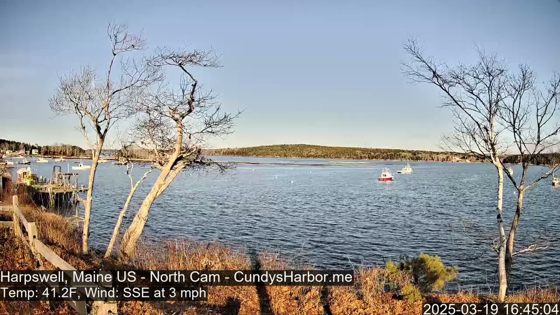 A calm body of water with several boats is seen from a shoreline with bare trees under a clear blue sky.