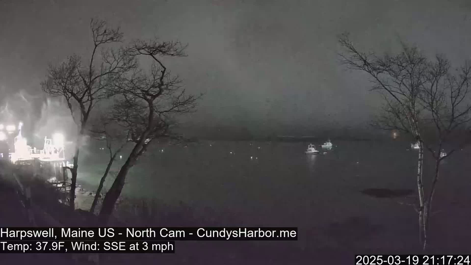 A nighttime, snowy scene shows a body of water with several boats, viewed from a shoreline with bare trees under a dark, overcast sky.