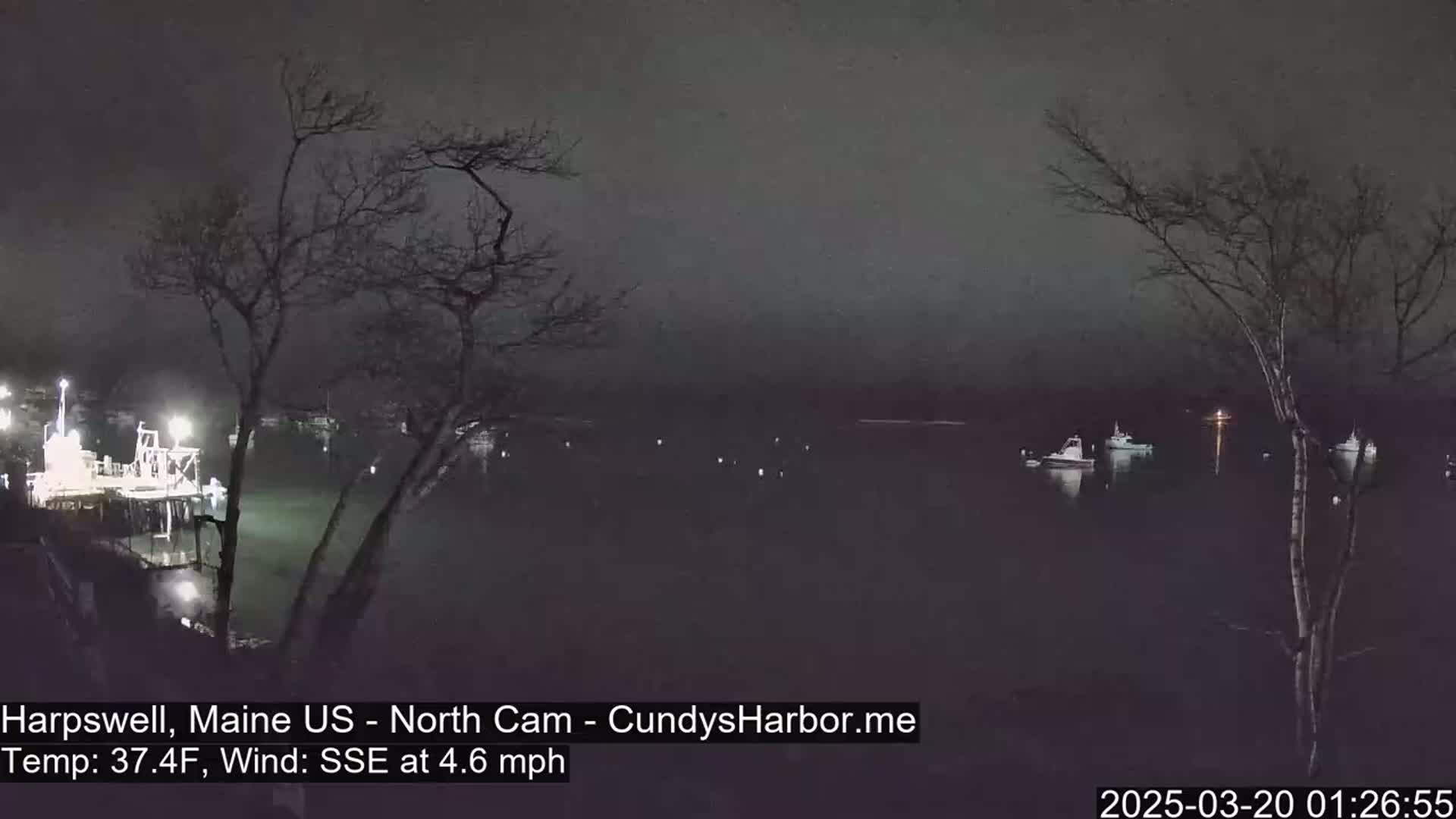 A nighttime view of a dark body of water with several boats moored, under a dark, overcast sky.