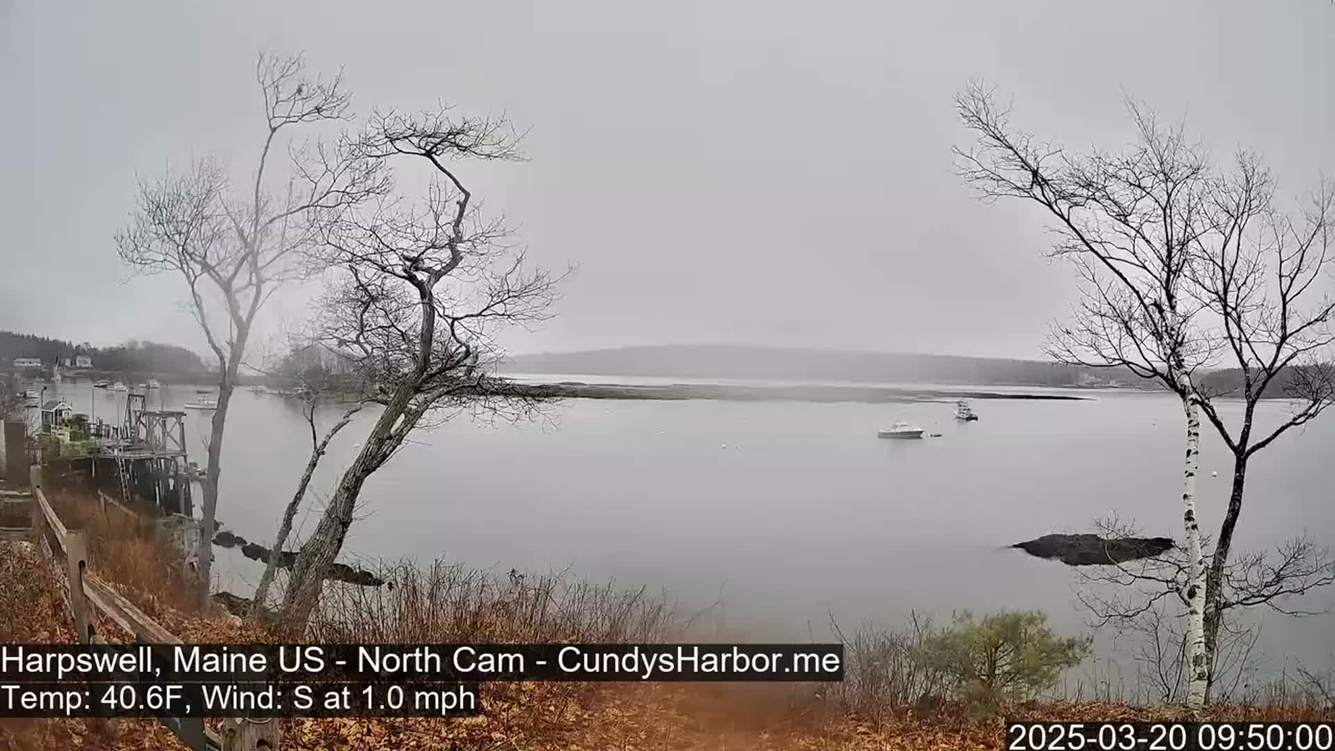 A calm, foggy body of water is viewed from a shoreline with bare trees and a few boats in the distance.