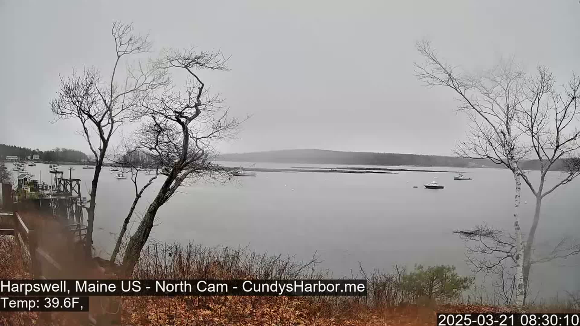 A calm, overcast body of water with several small boats is viewed from a slightly elevated vantage point, amidst leafless trees.